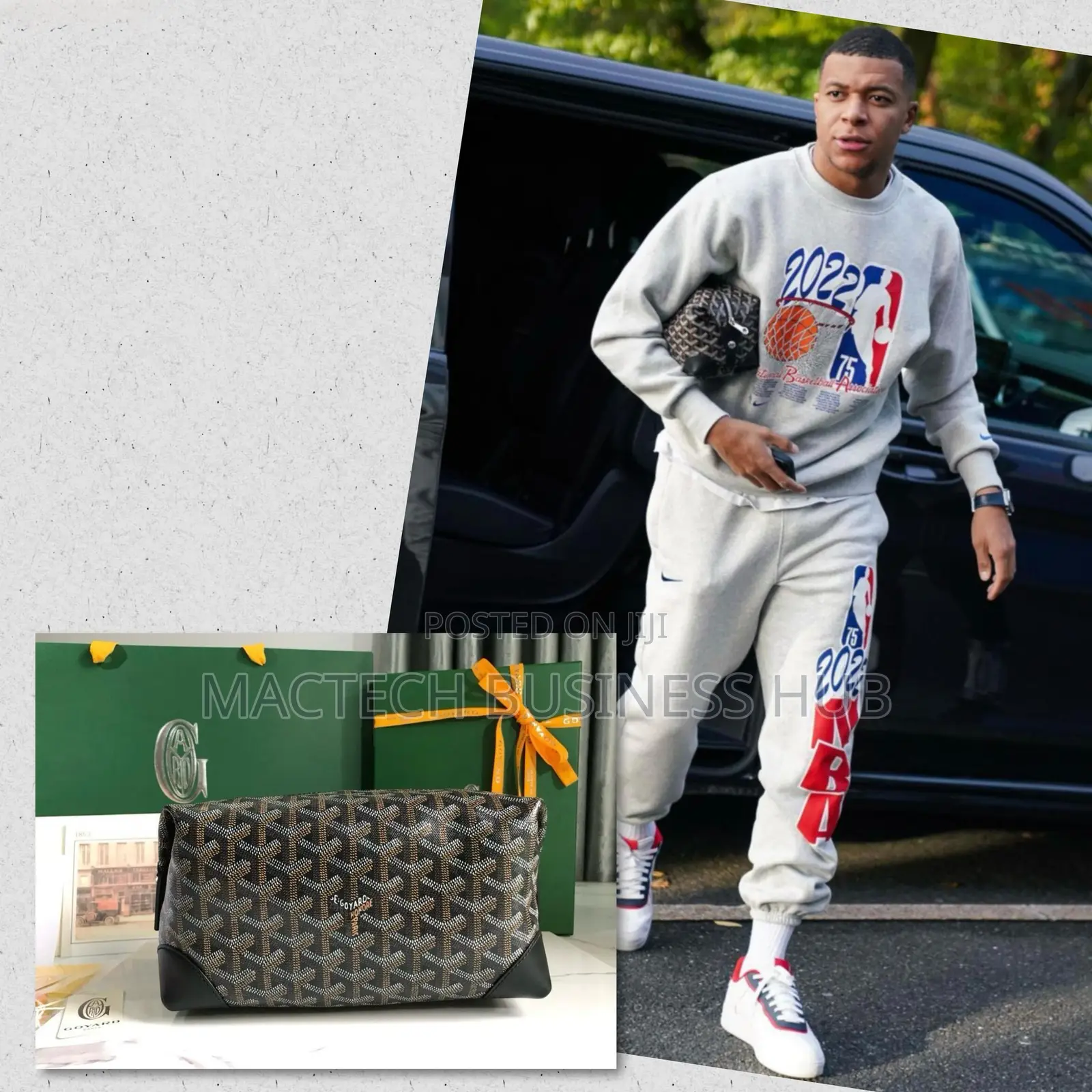 Goyard Bag