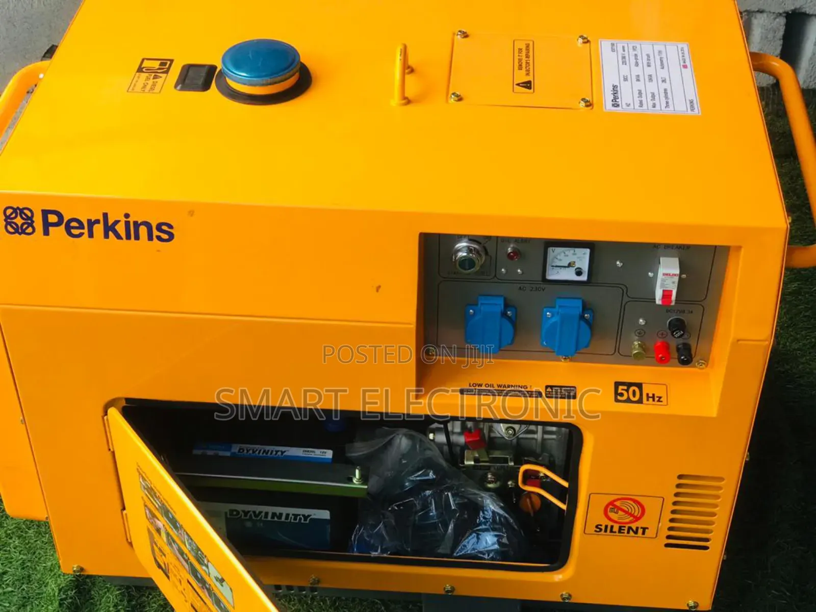 Trustworthy Diesel Generator Perkins 13000w Generator