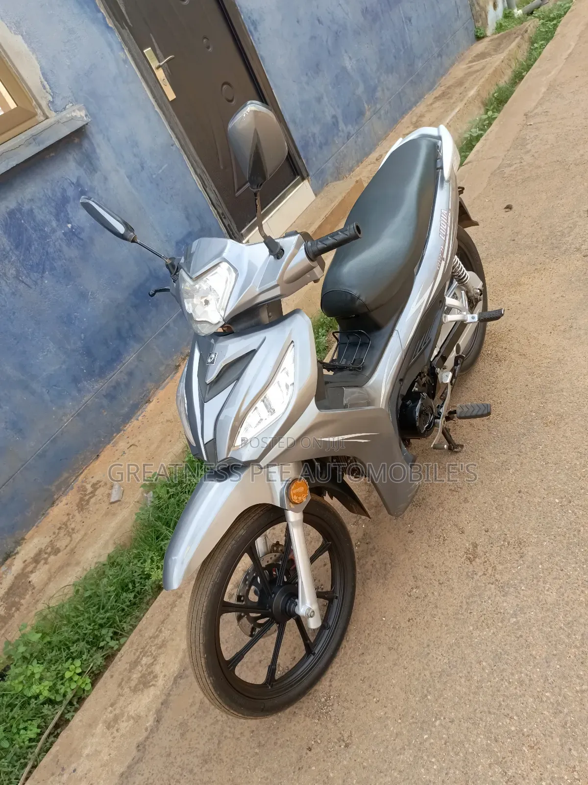 Luojia 110cc 2022 Gray