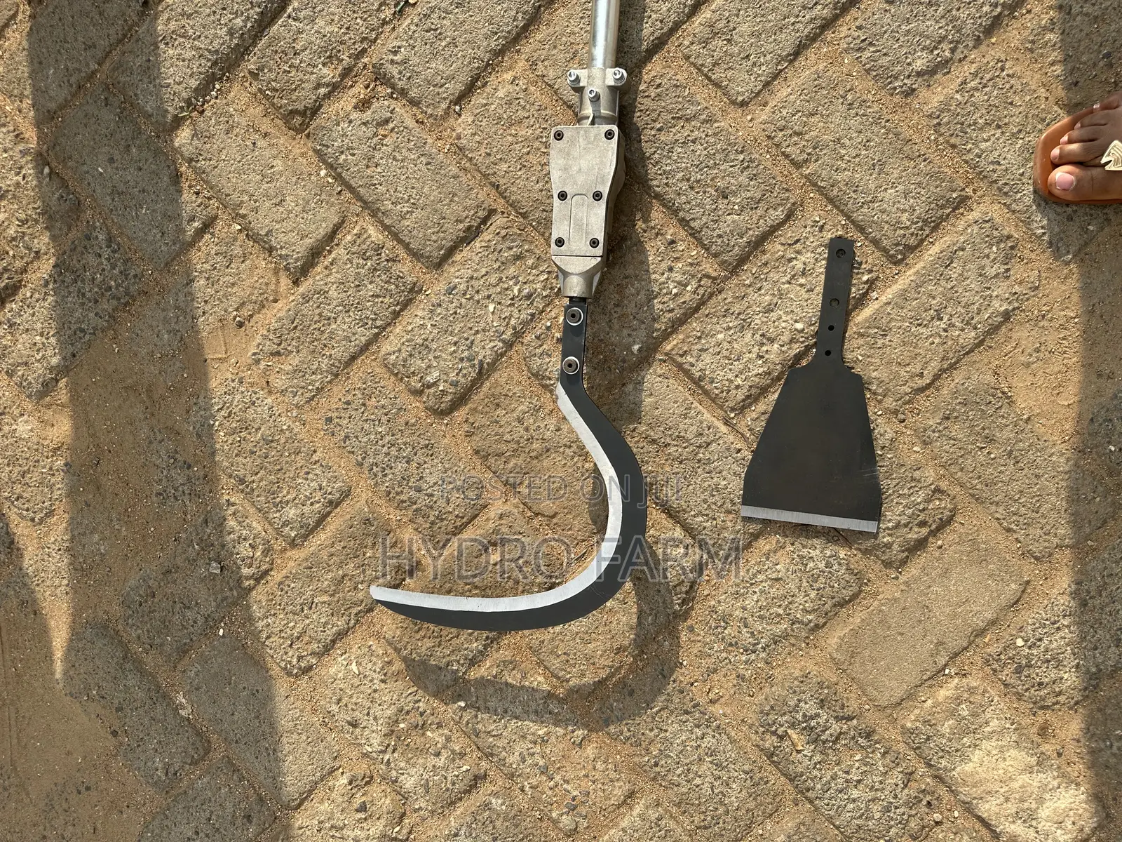 3.2m Pole Palm Cutter/Harvester