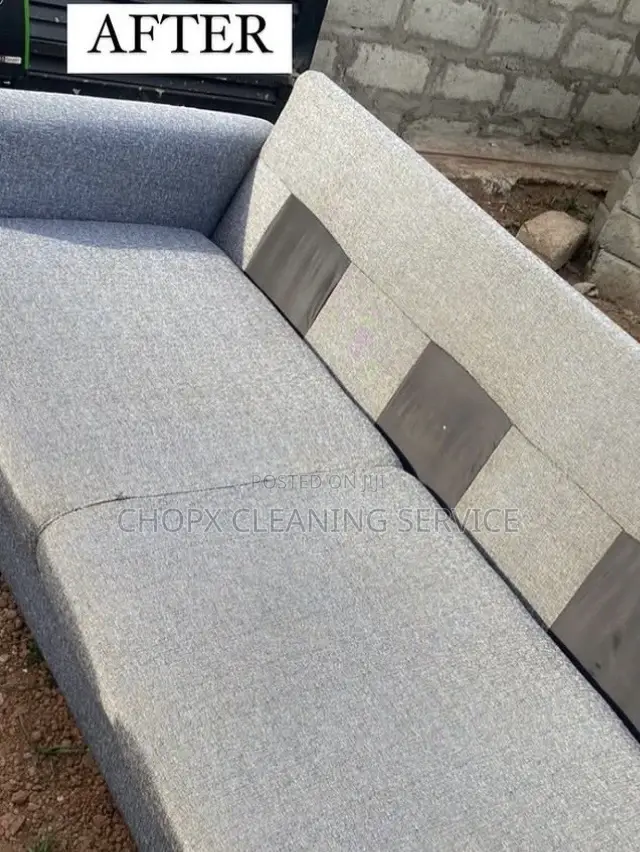 Deep Sofa Carpet Cleaning With Stain and Odor Elimination