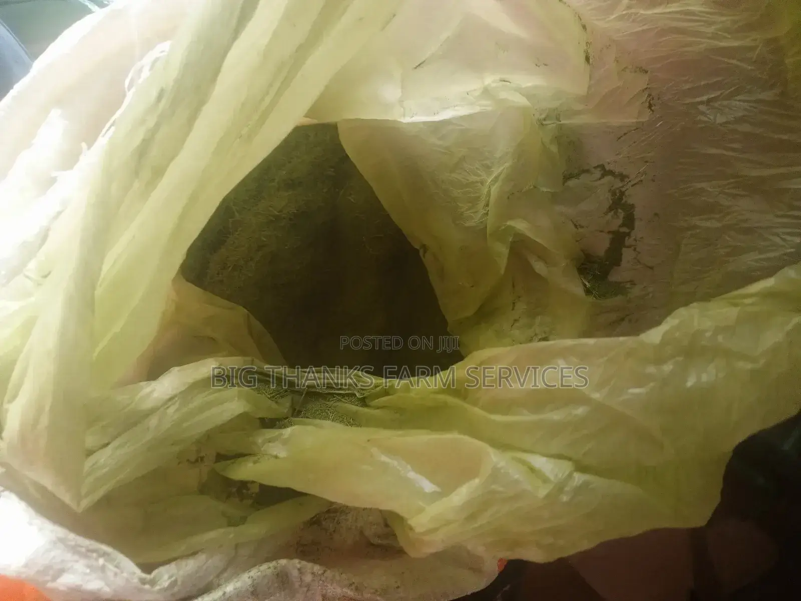 Organic Moringa Leaf Powder Wholesale Retail