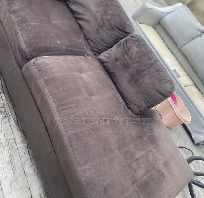 Fresh, Clean Sofas Like New!