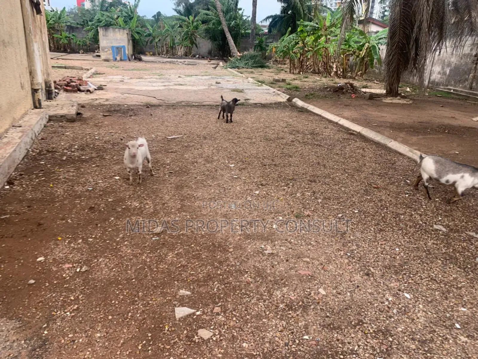 3 and Half Plot for Sale at Cantonment