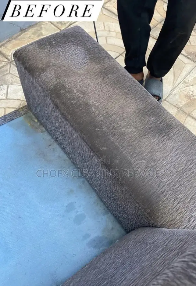 Sofa Cleaning and Floor Cleaning