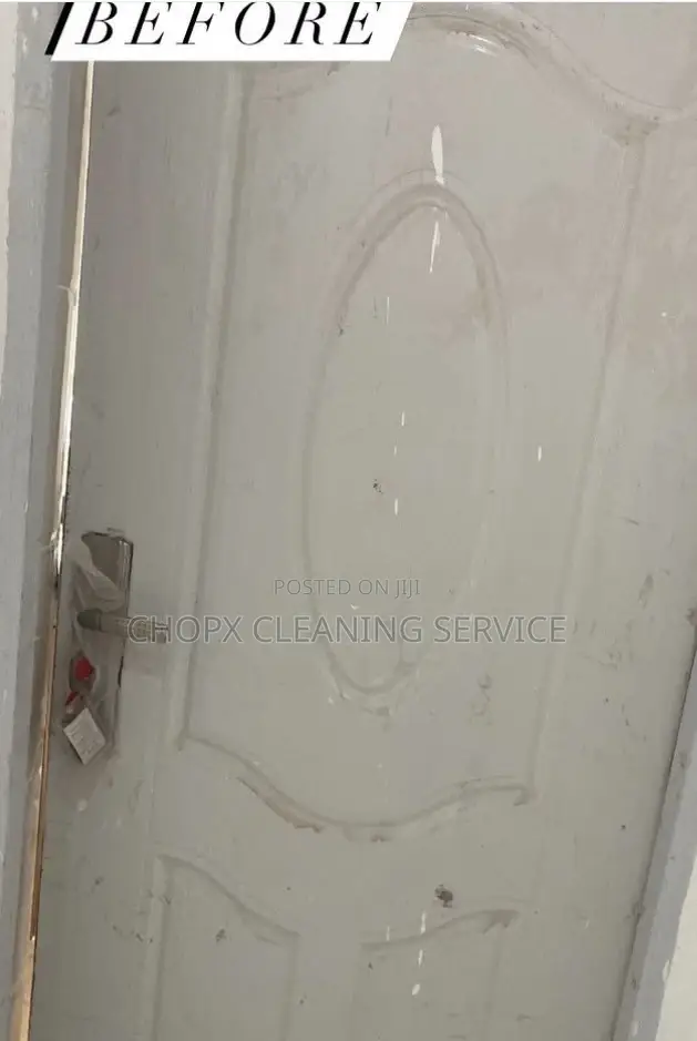 Door Cleaning and Sanitizing for a Good Looking .