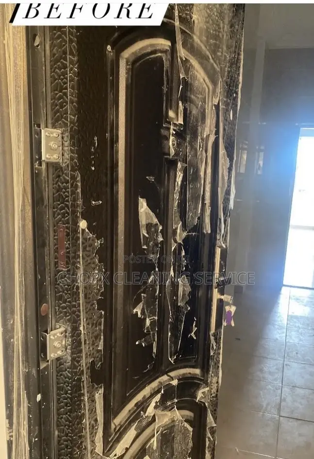 Door Cleaning and Sanitizing for a Good Looking .