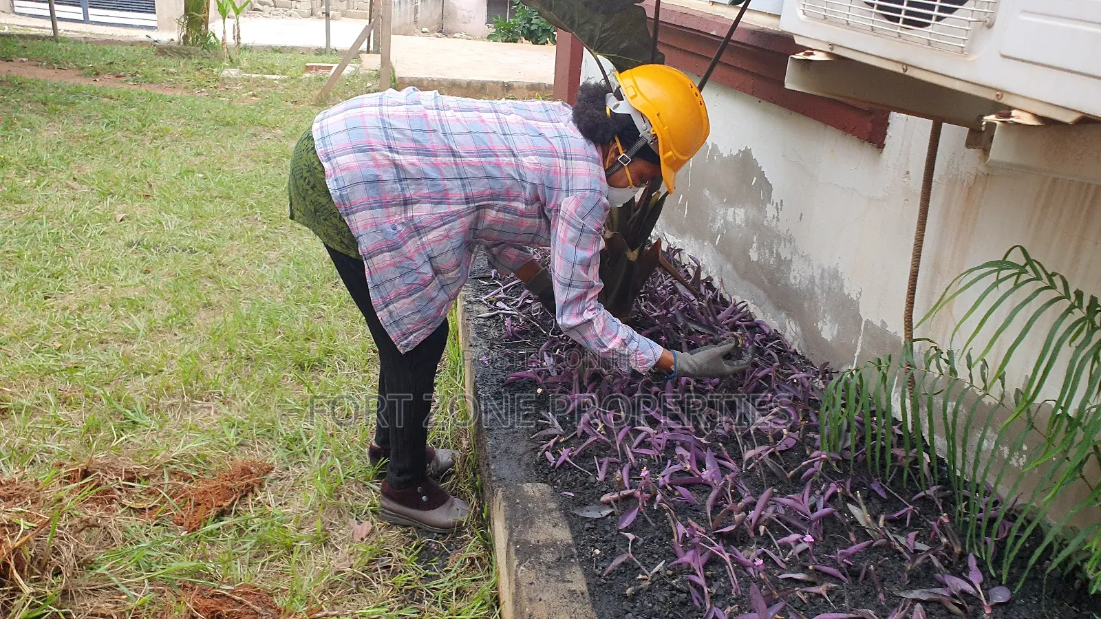 Cleantex Flower and Gardening Service's