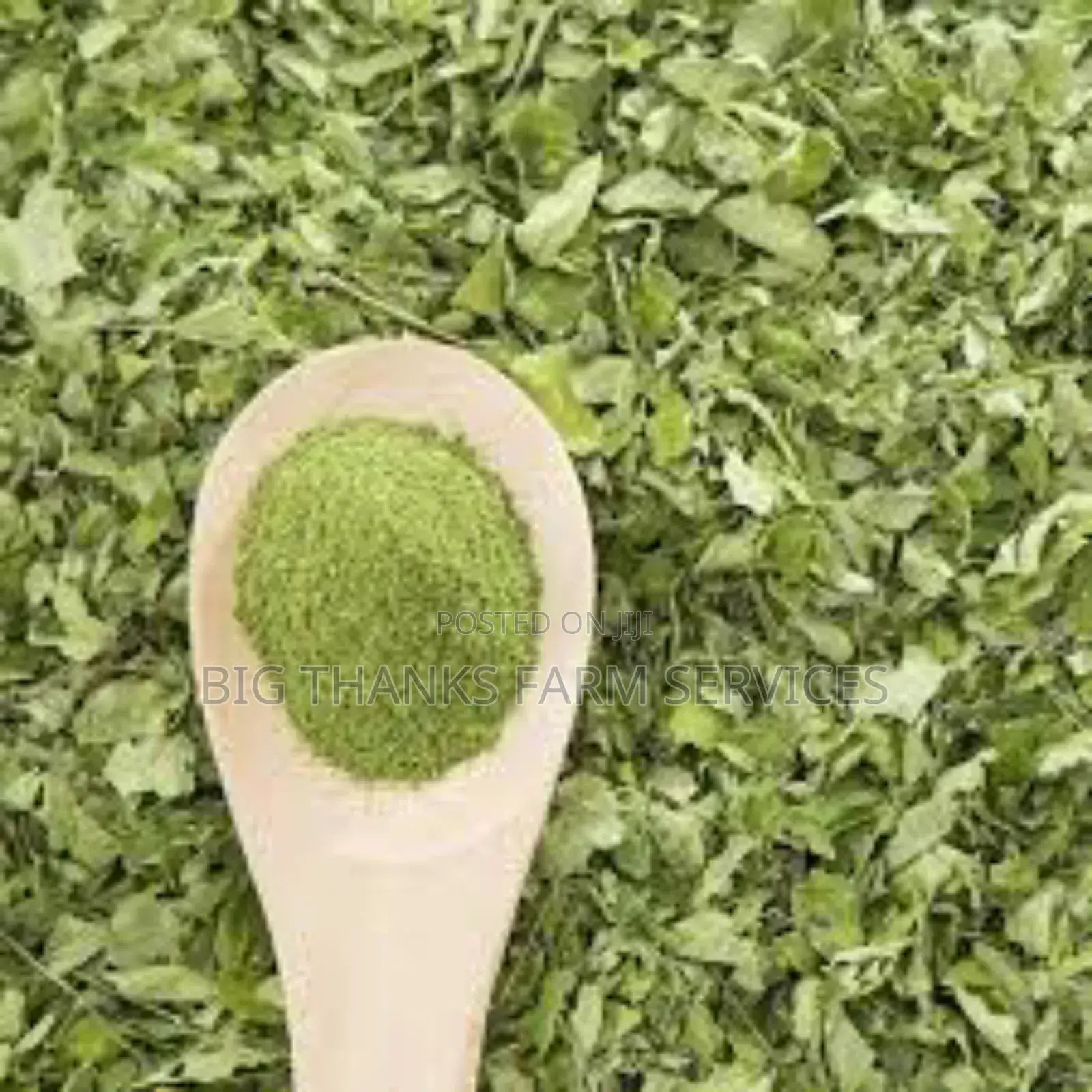 1kg,Whole Moringa, Wholesale/Retail