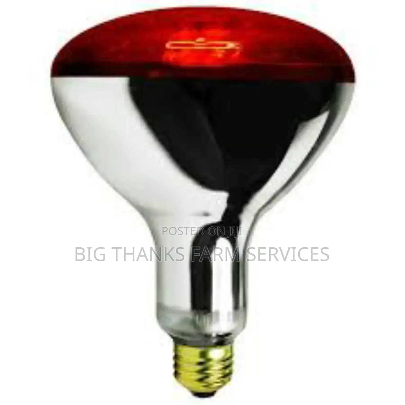 Poultry Heater Bulbs And Holders,250w &More