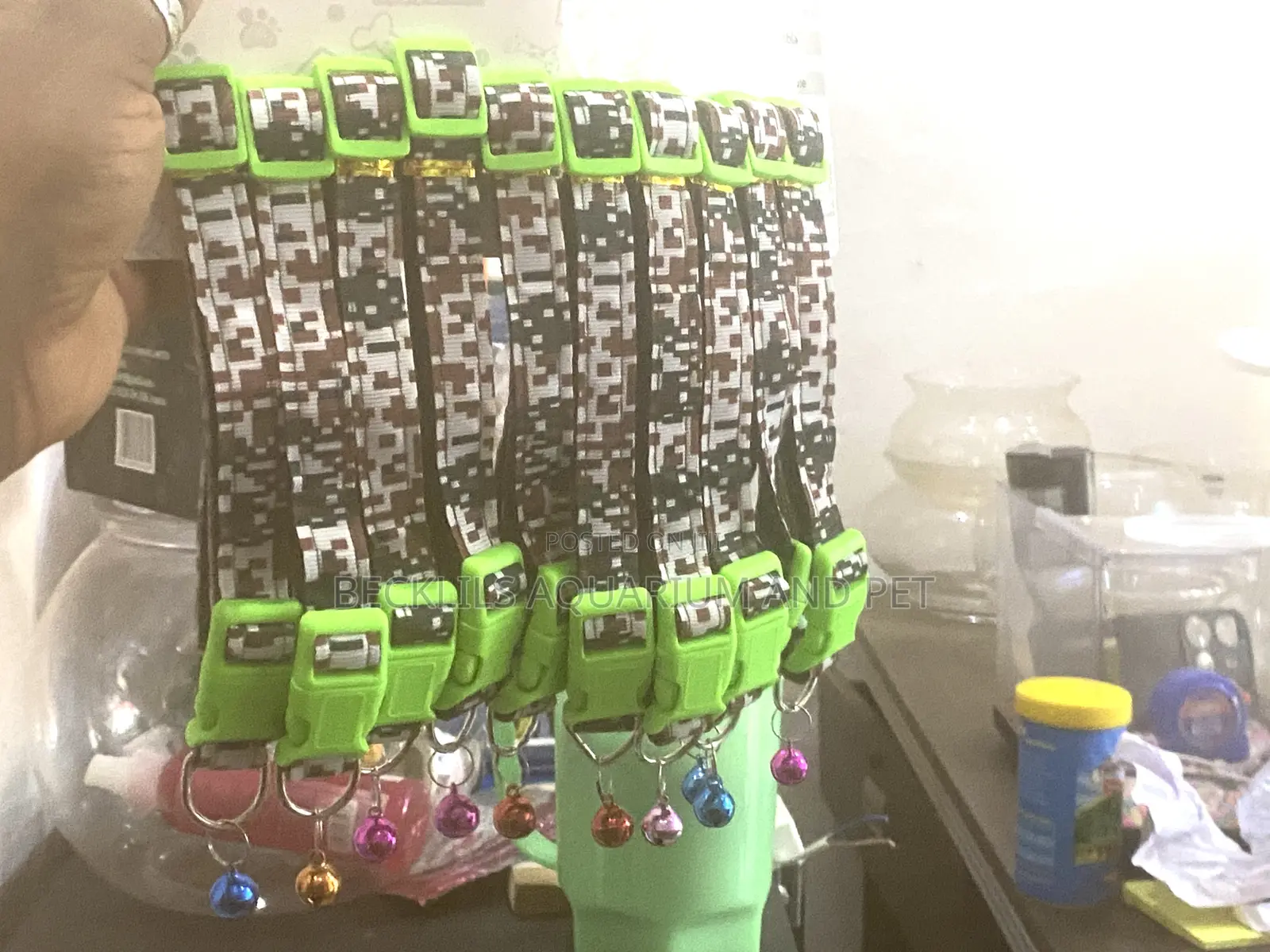 Lead and Collar for Dogs