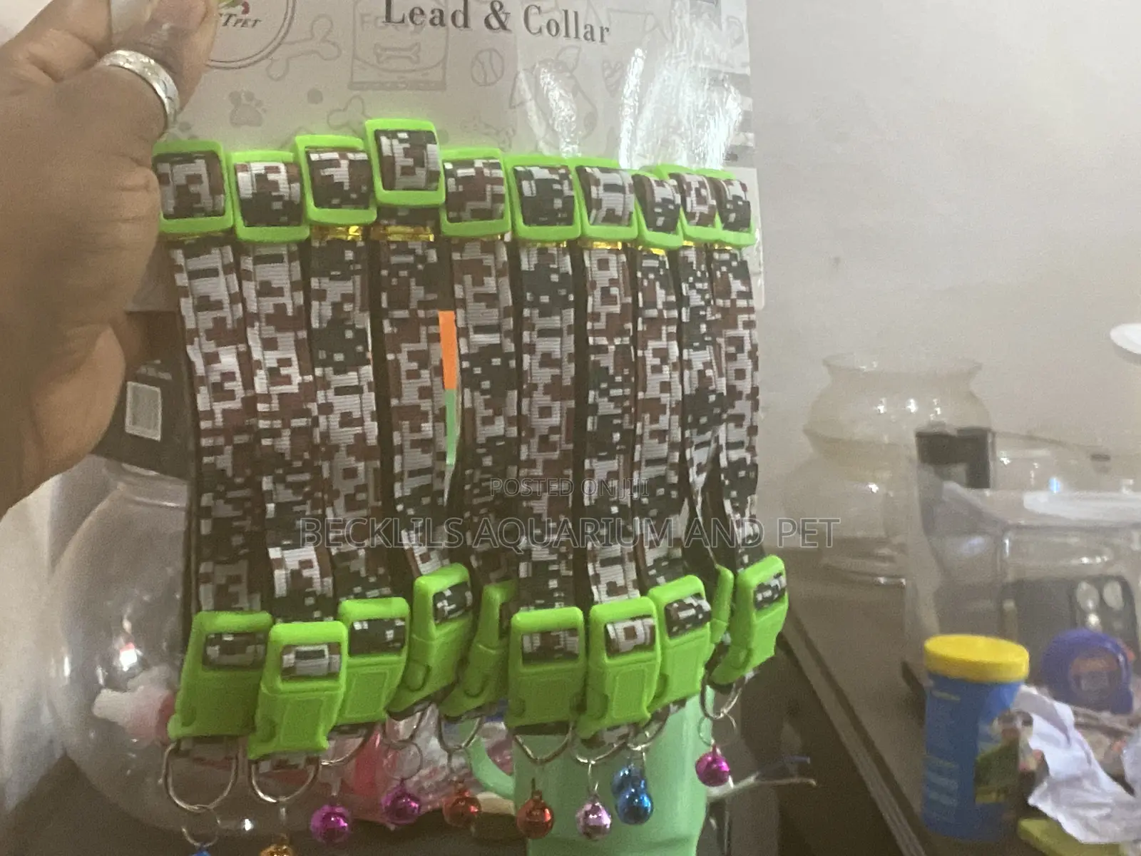 Lead and Collar for Dogs