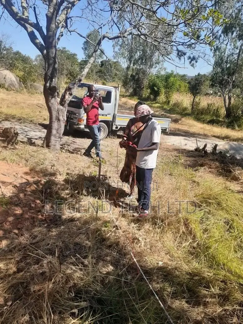 Borehole Site Survey Specialist
