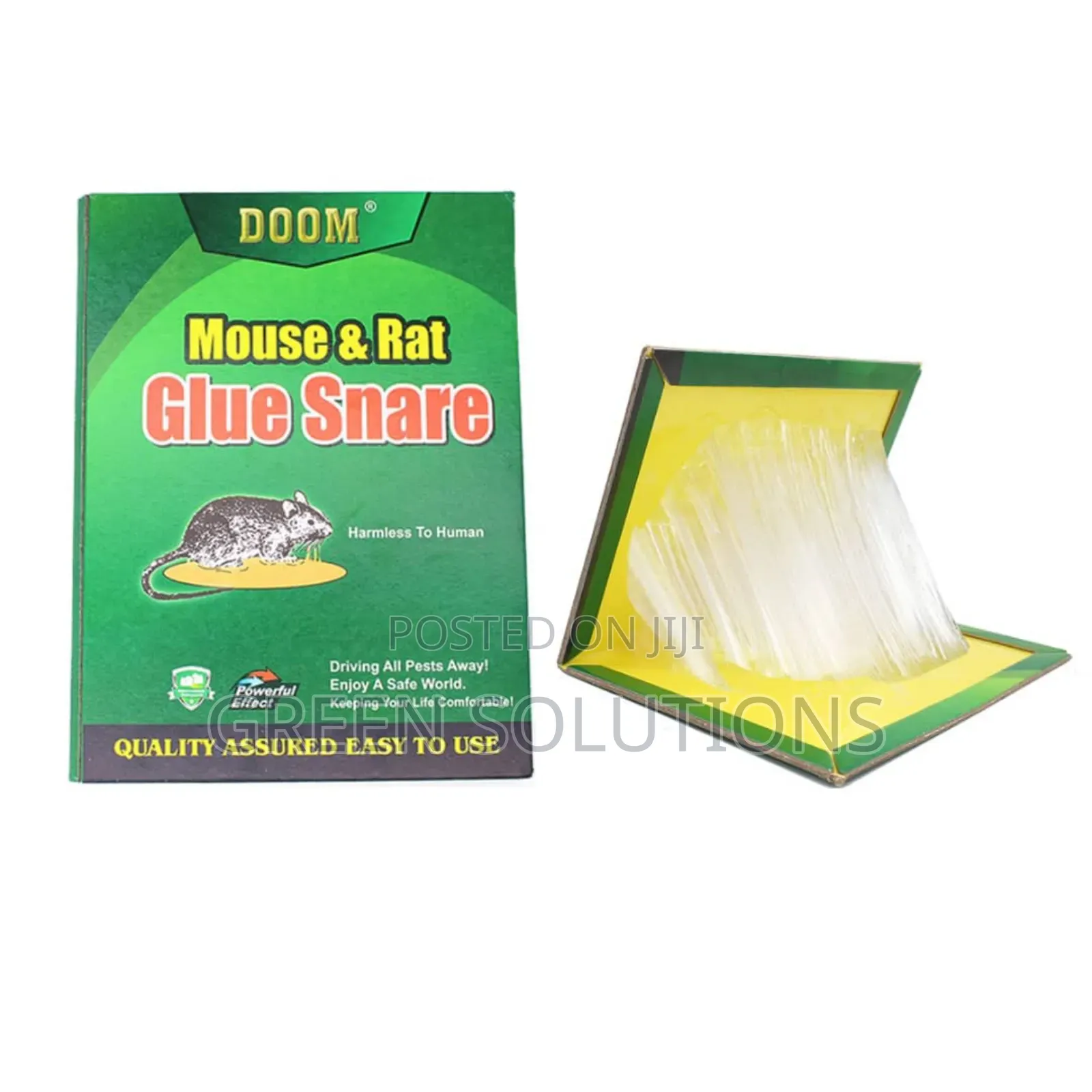Rat Mouse Glue Trap Boards (Wholesale)