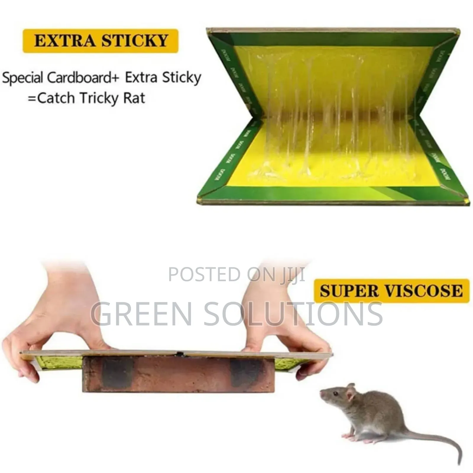 Rat Mouse Glue Trap Boards (Wholesale)