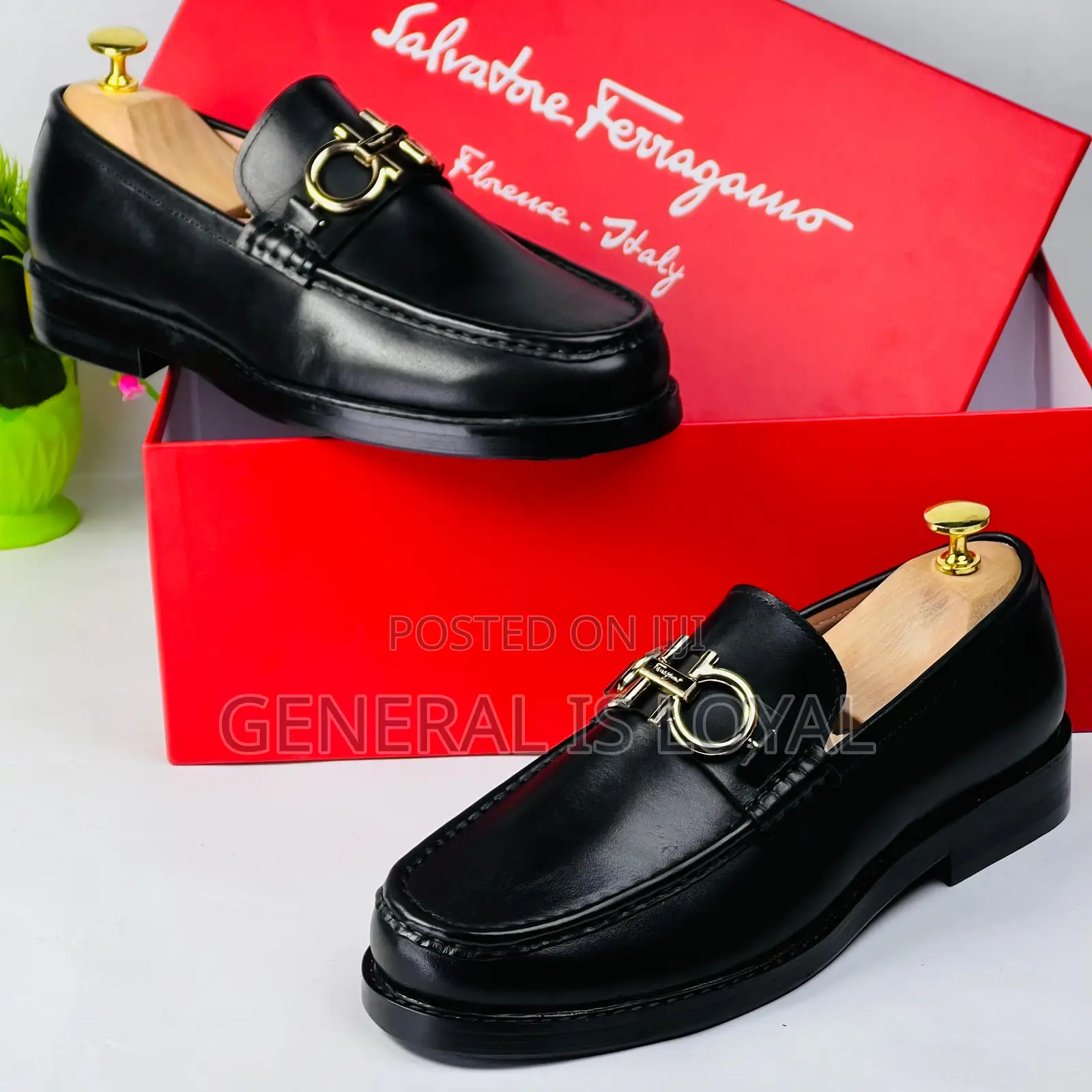 Salvatore Ferragamo Shoe/ Coffee