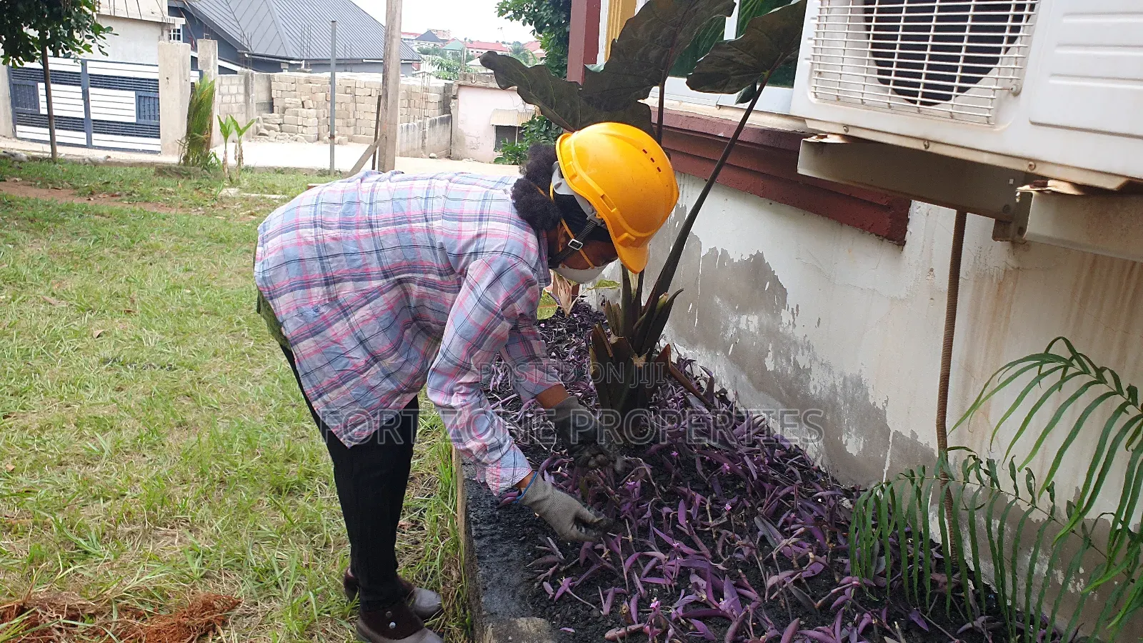Home Flowering Services With Cleantex