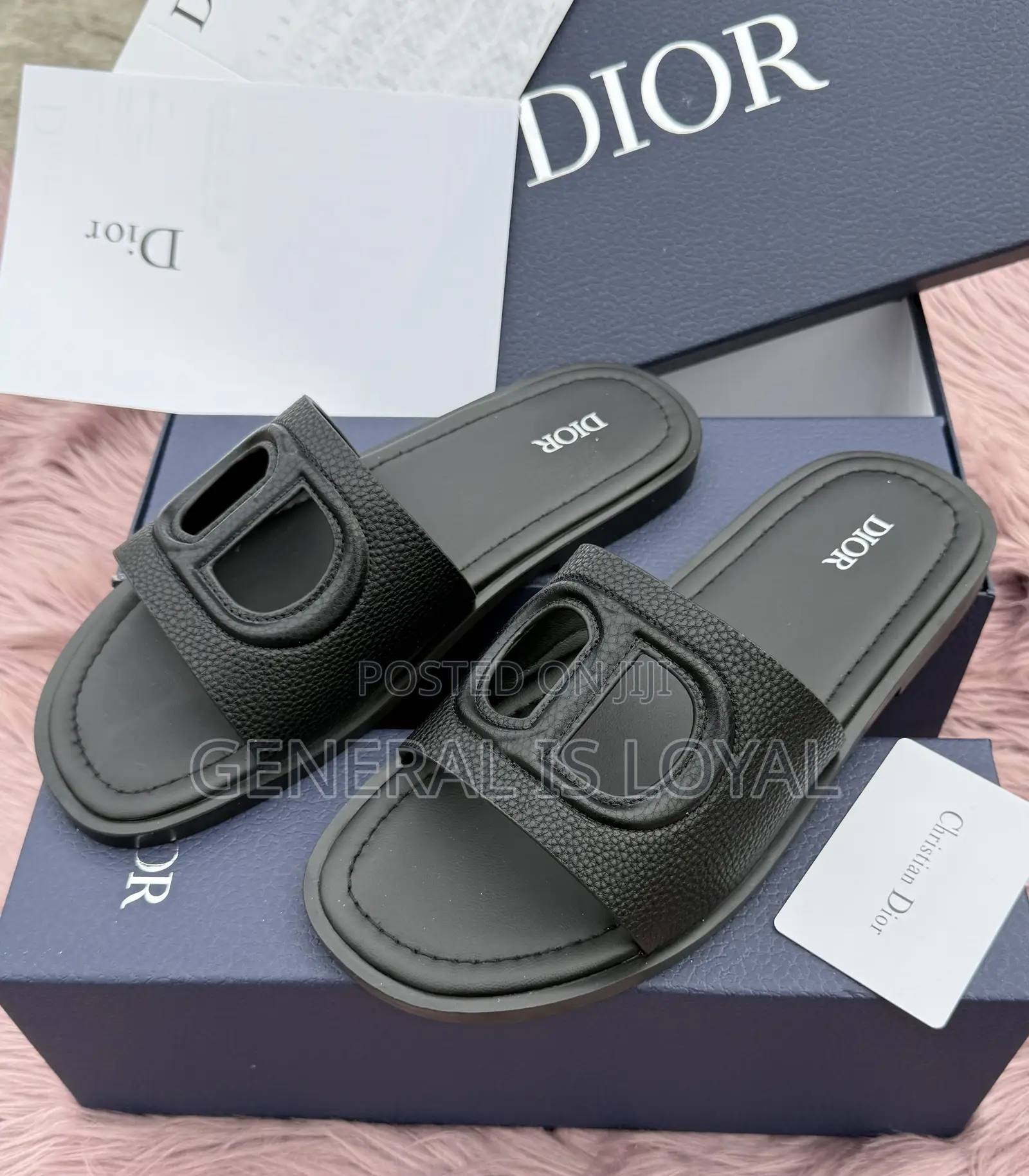 Dior Slipper /Logo