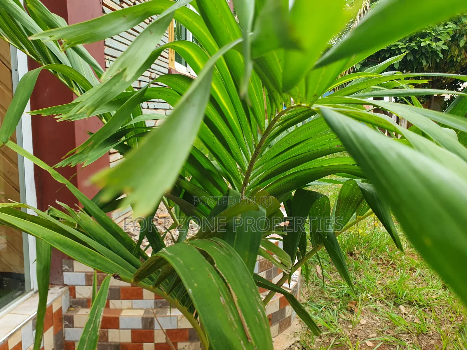 Flowers,Flower Ports,Landscaping Services With Cleantex