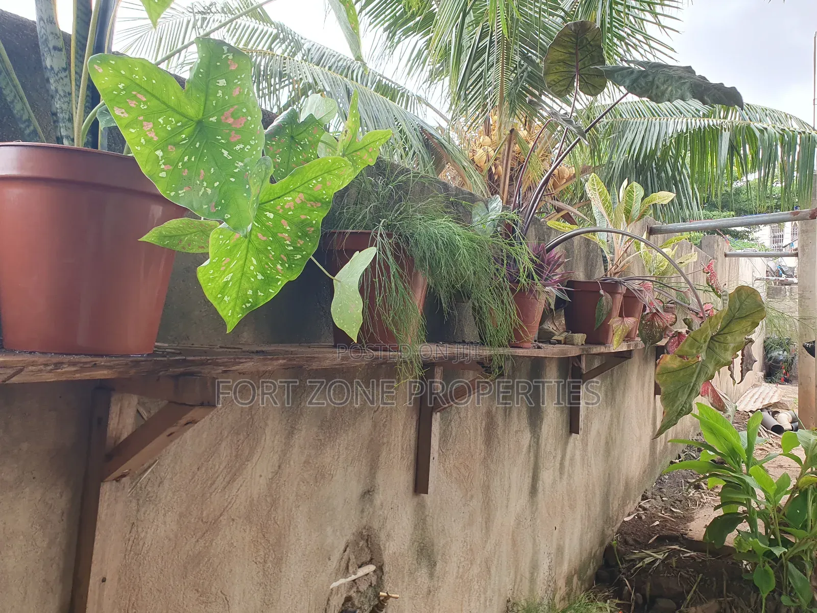 Flowers,Flower Ports,Landscaping Services With Cleantex