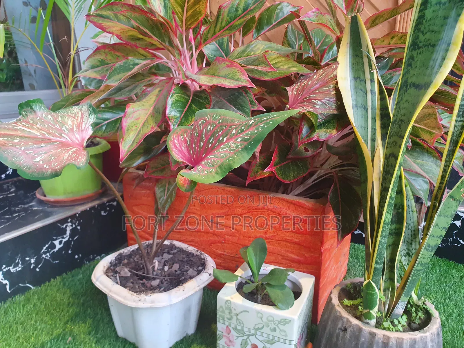 Cleantex Landscaping and Flowering Services With Cleantex