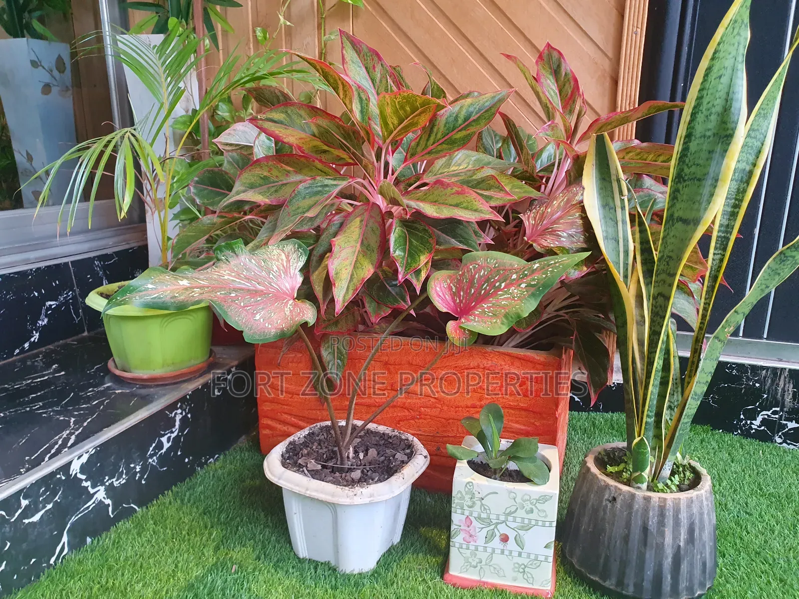Cleantex Landscaping and Flowering Services With Cleantex