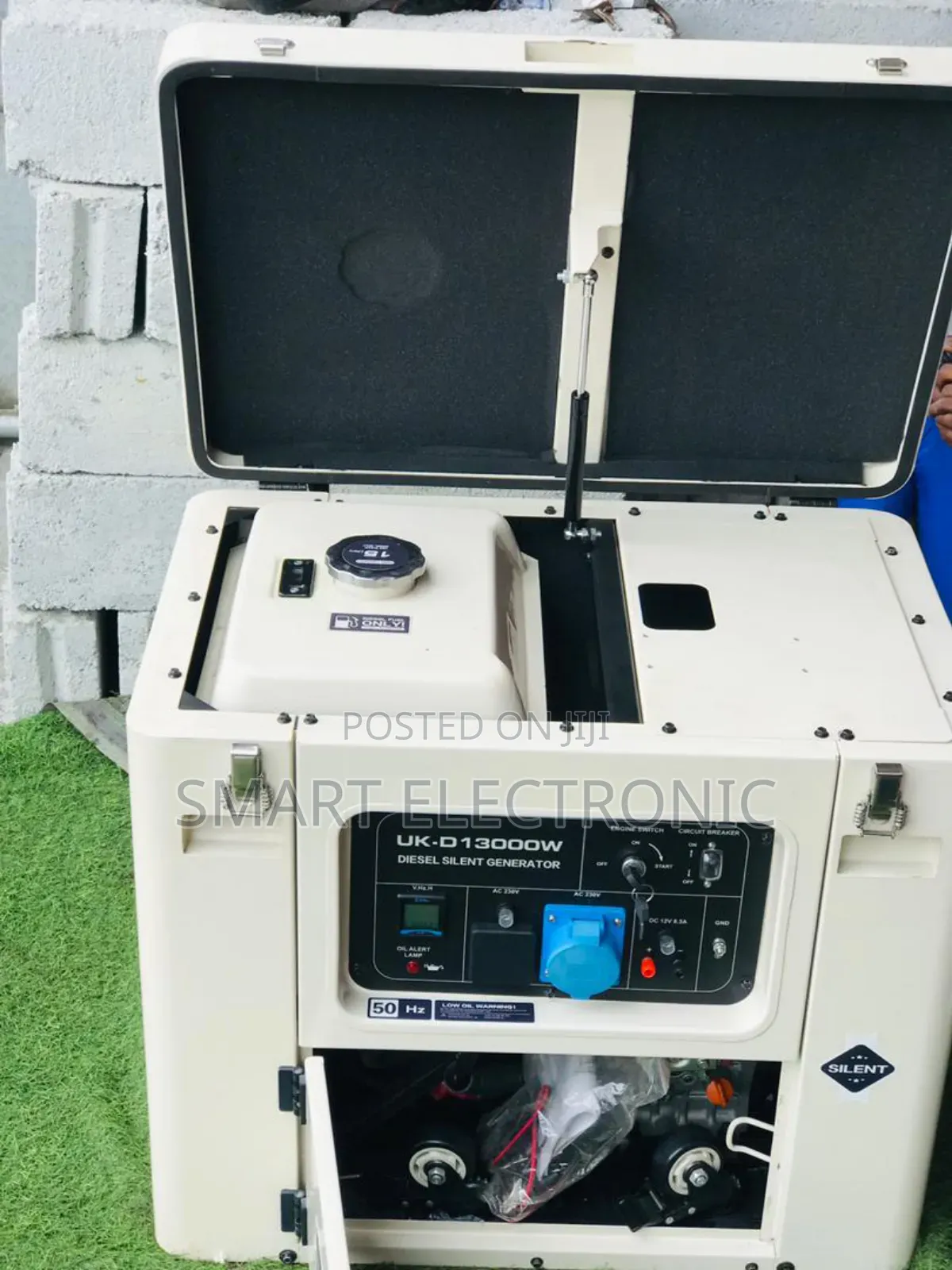 Unmatched Uk D13000w Diesel Generator Uk Model Standard