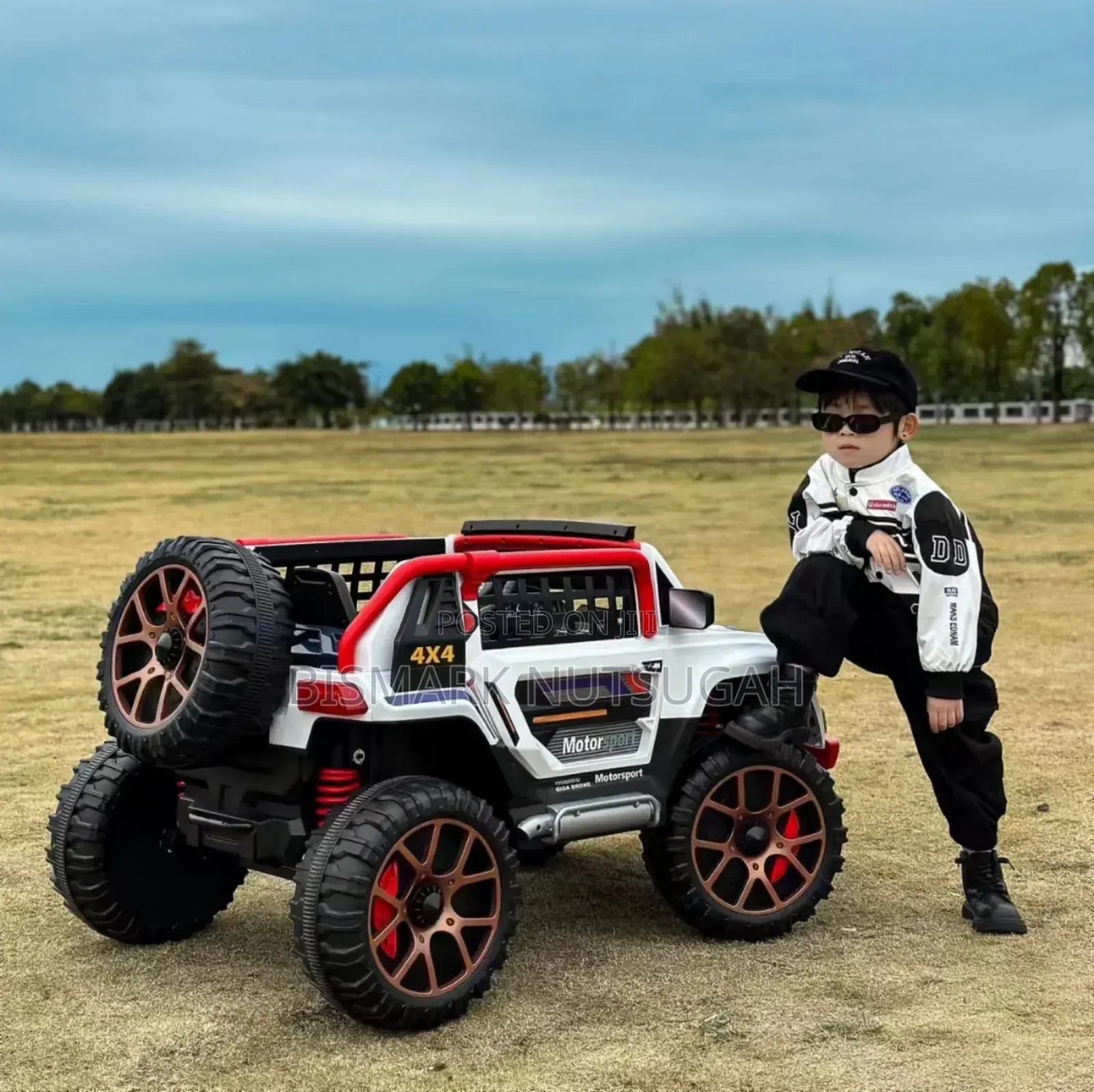 Two Sitter Electric Toy Car