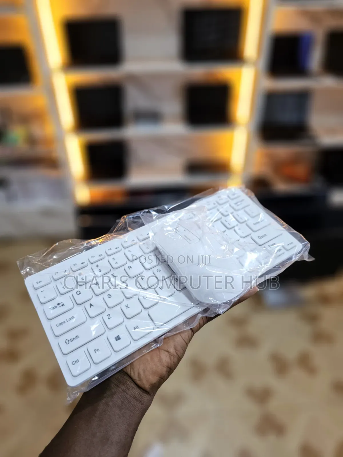 Portable Wireless Keyboard and Mouse