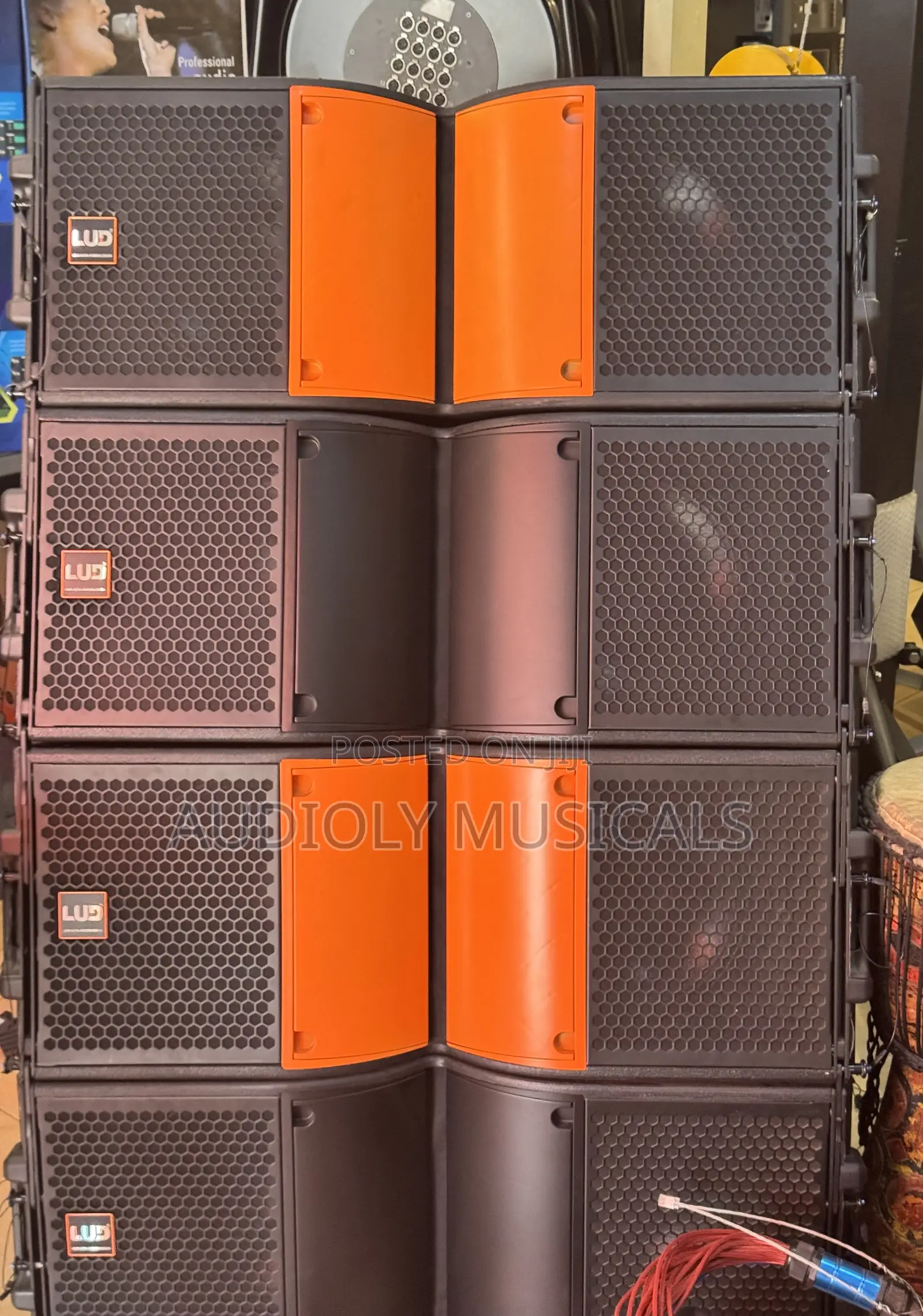 L U D 12-Inches Line Array