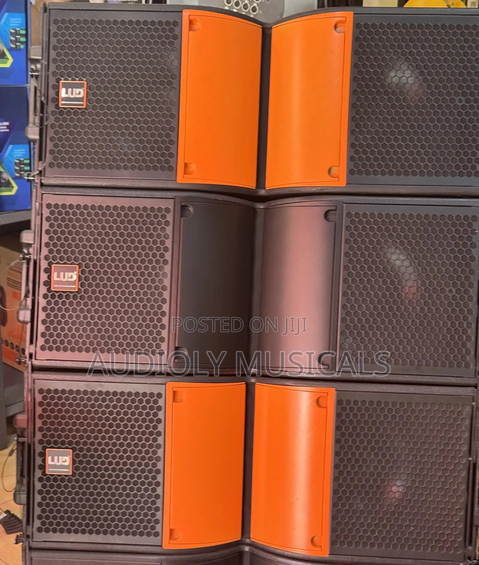L U D 12-Inches Line Array