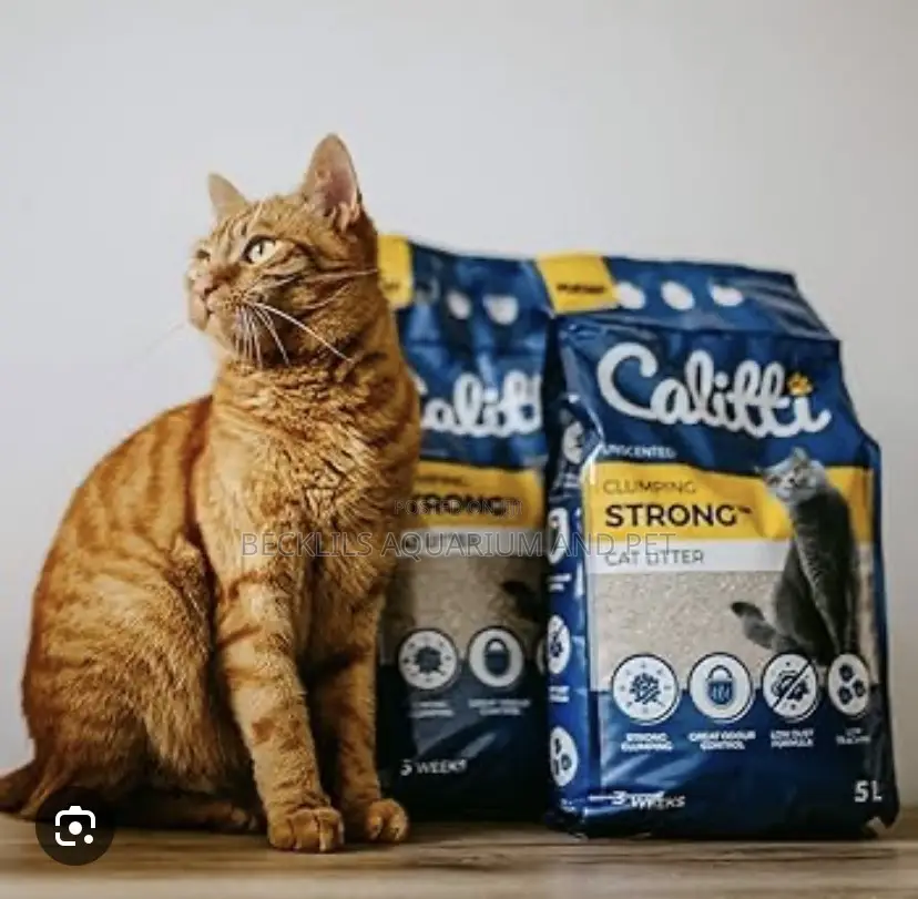 Quality Cat Litter Sand
