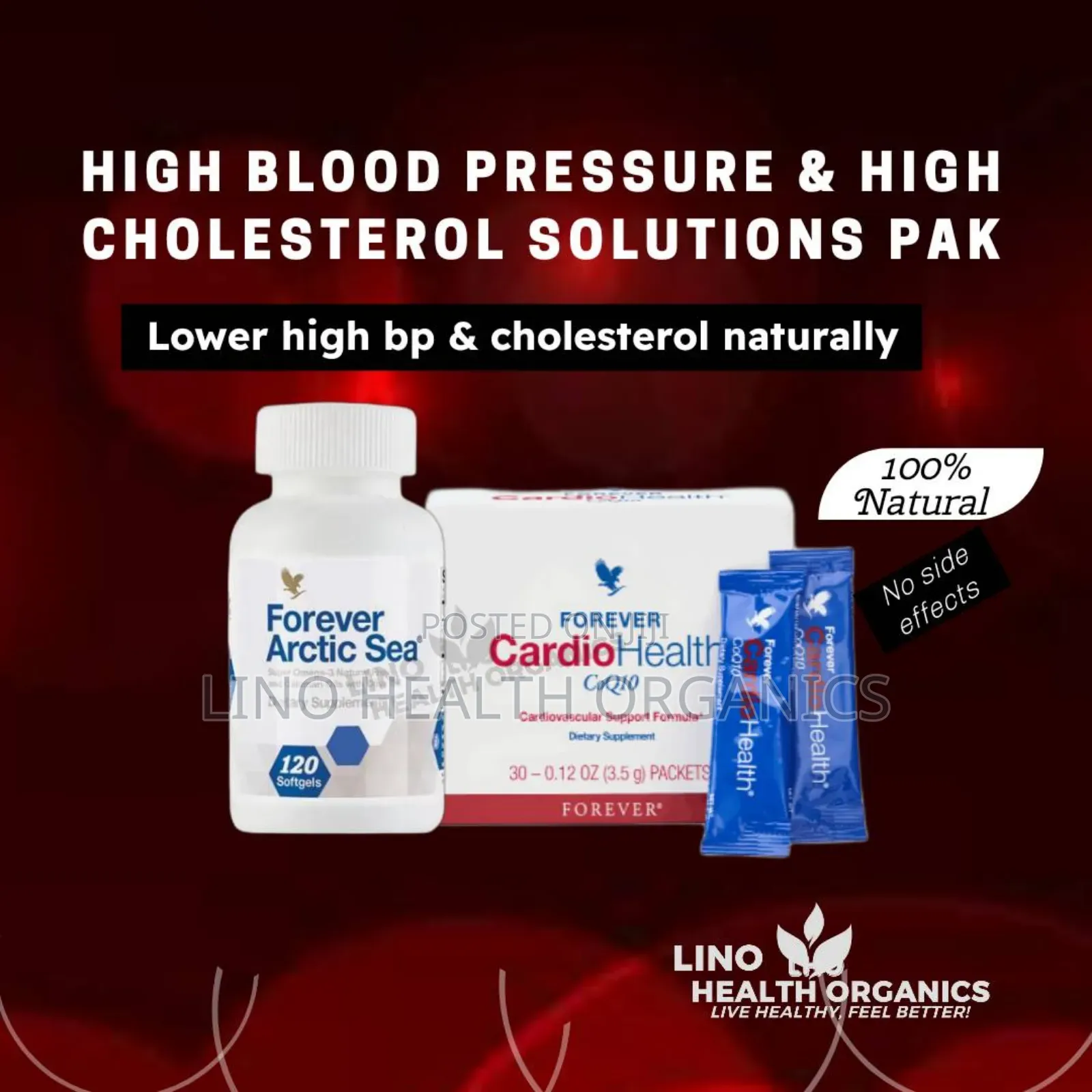 High Blood Pressure Cholesterol Solutions Pro