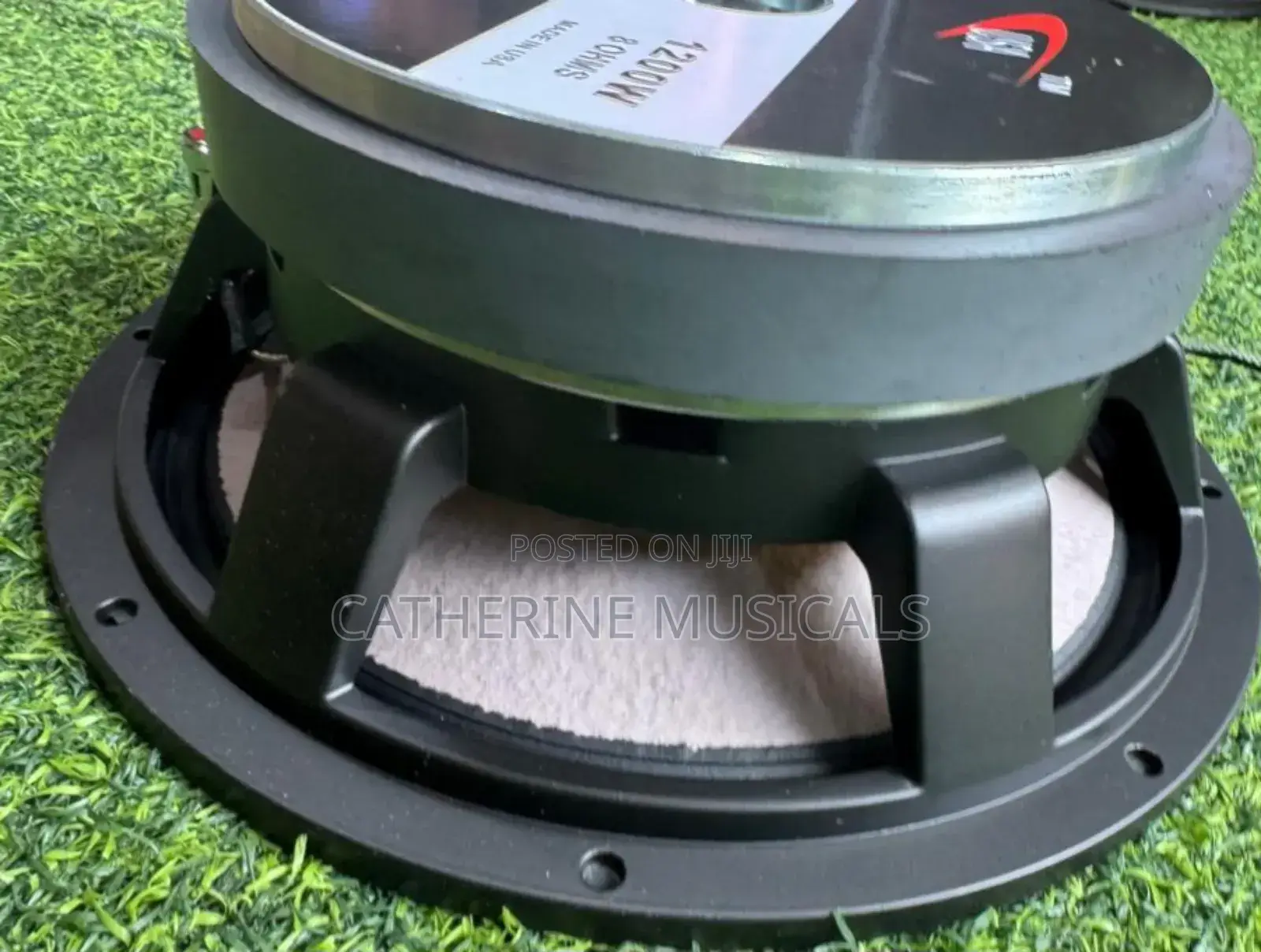 12 Inches Double Magnet Line Arry Speaker