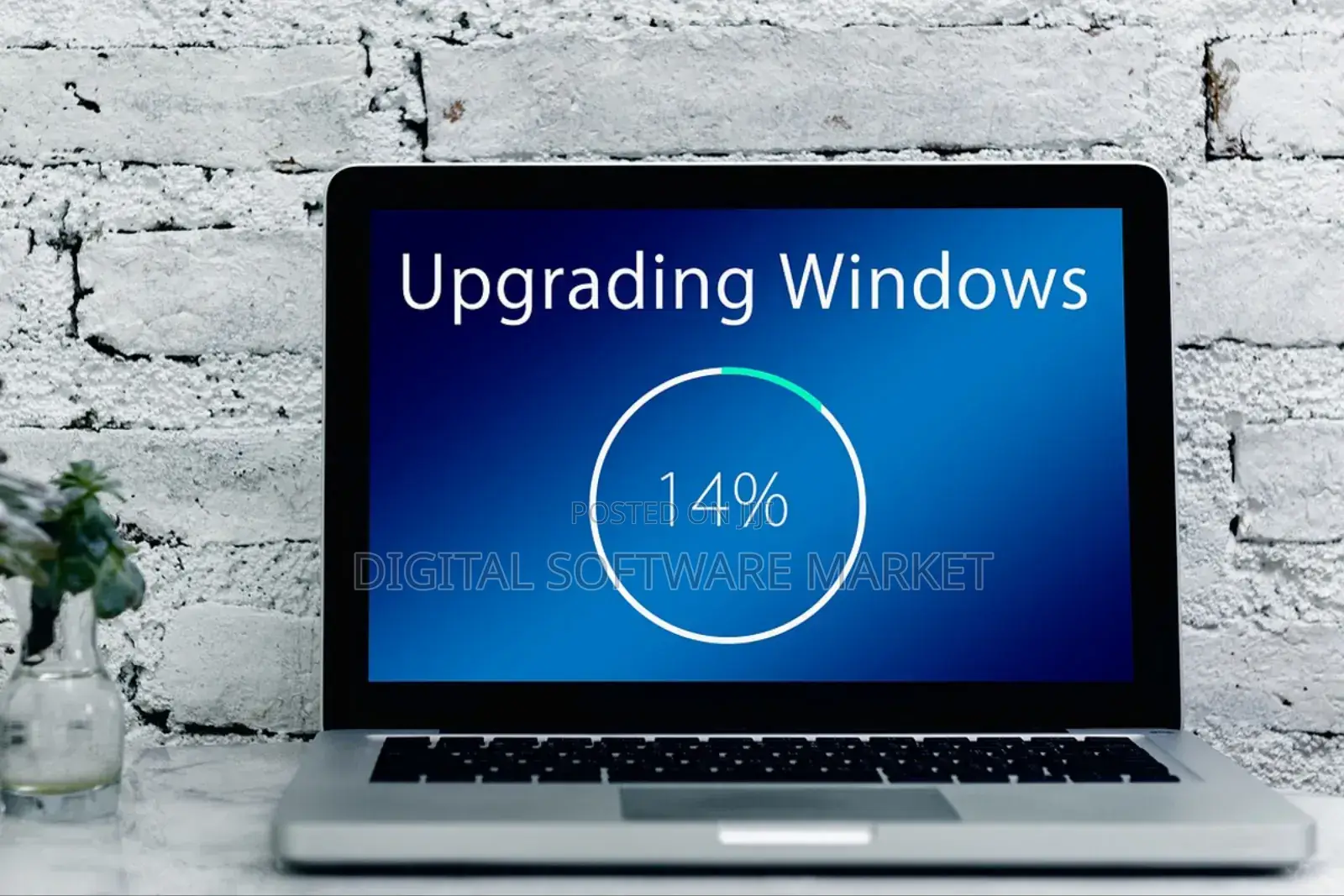 Windows Upgrade