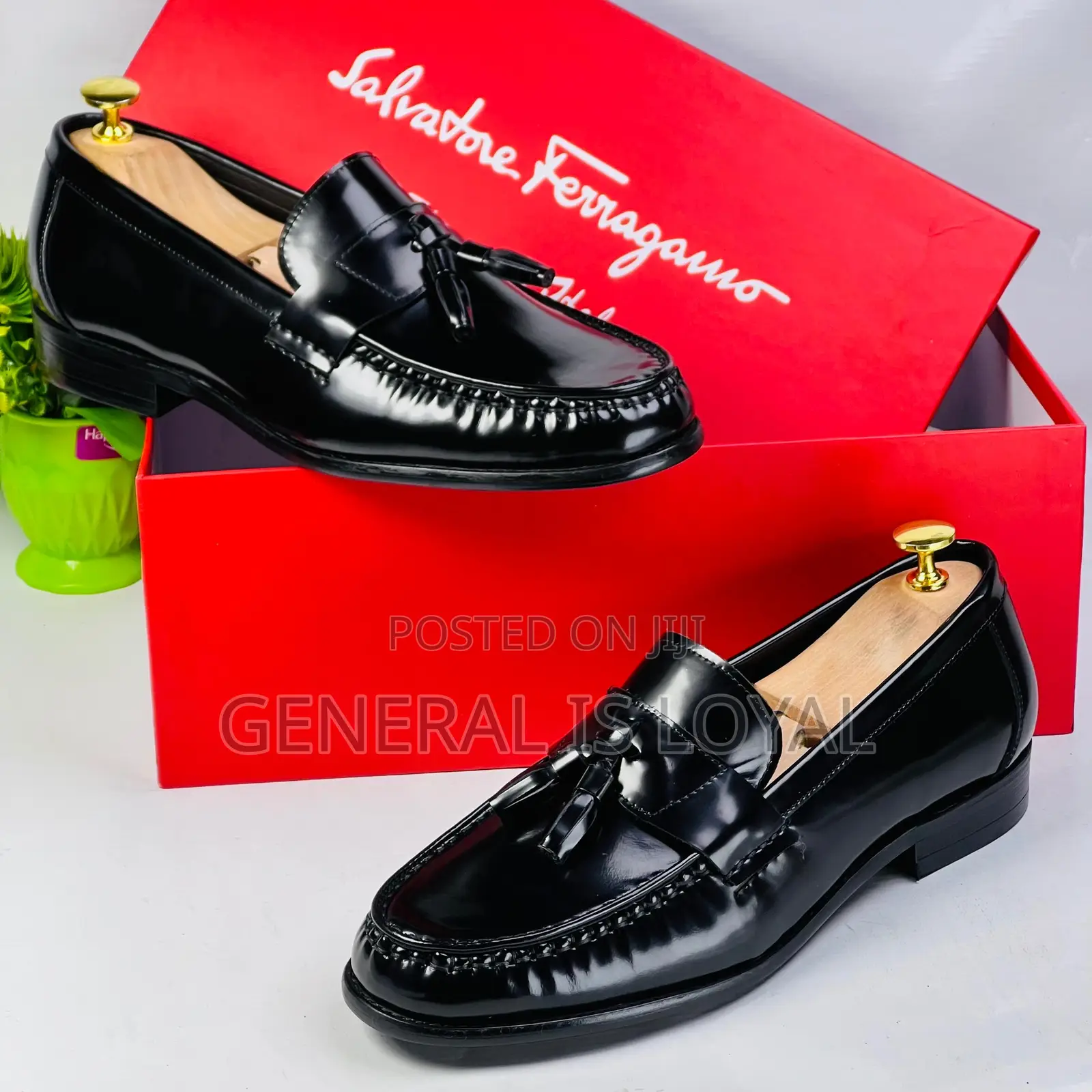Salvatore Ferragamo Ring My Bell Shoe