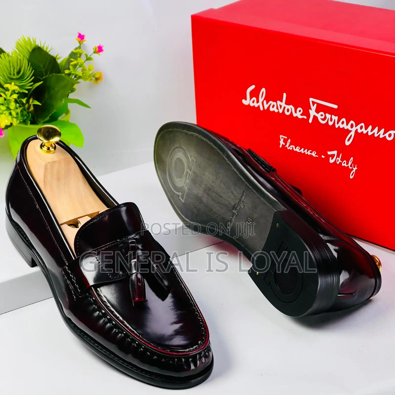 Salvatore Ferragamo Shoe /Coffee Black