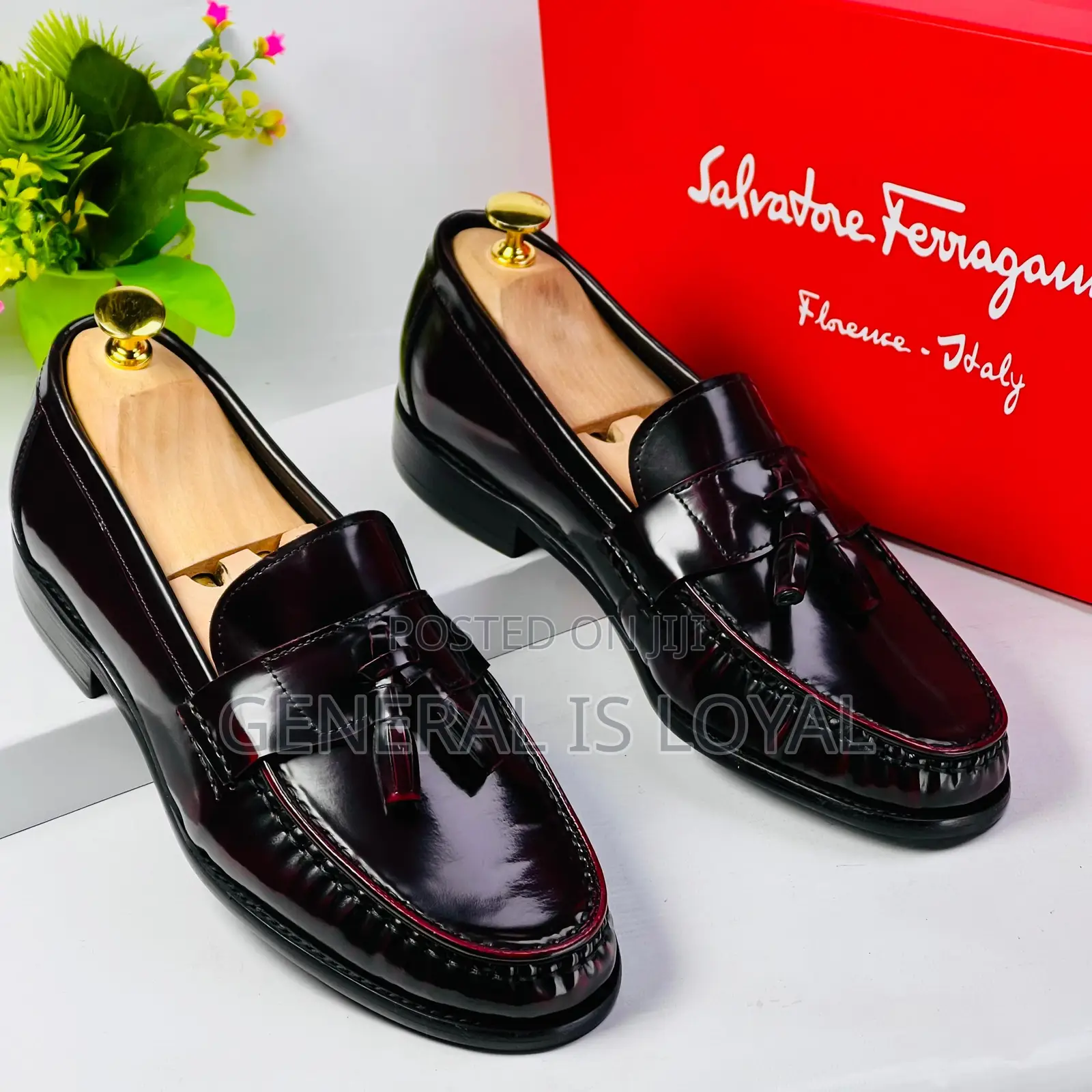 Salvatore Ferragamo Shoe /Coffee Black