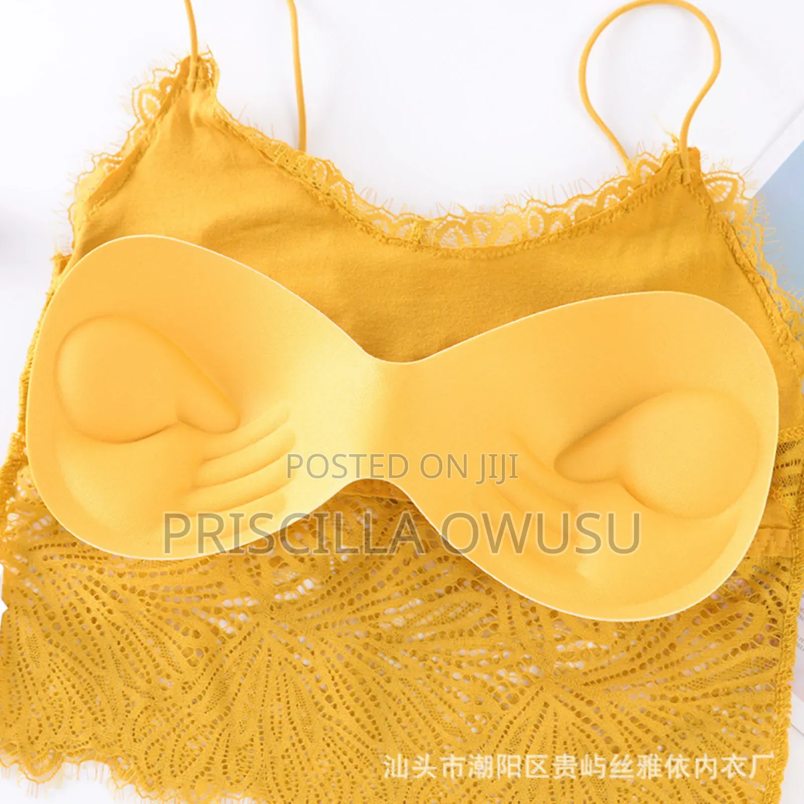 Sexy Lace Lingerie With Bra / Ladies Passed Vest