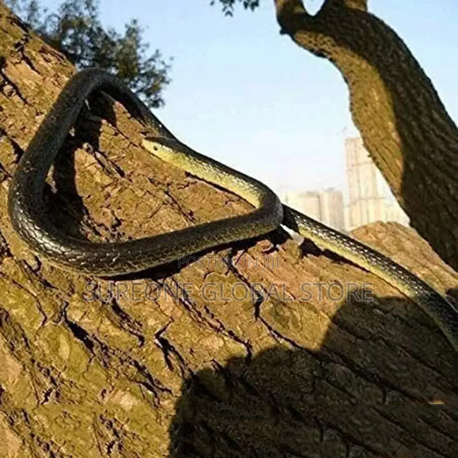 Toy Garden Rubber Snakes Scary Present