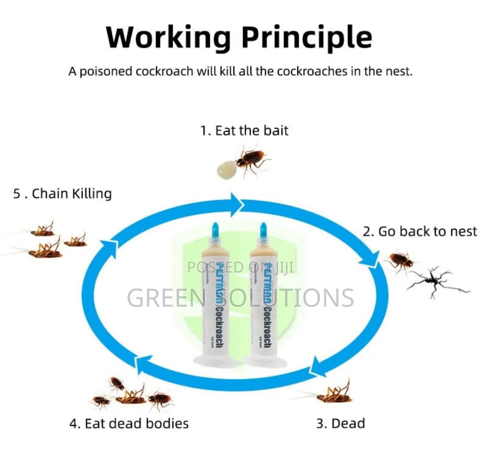 Cockroach Killing Gel