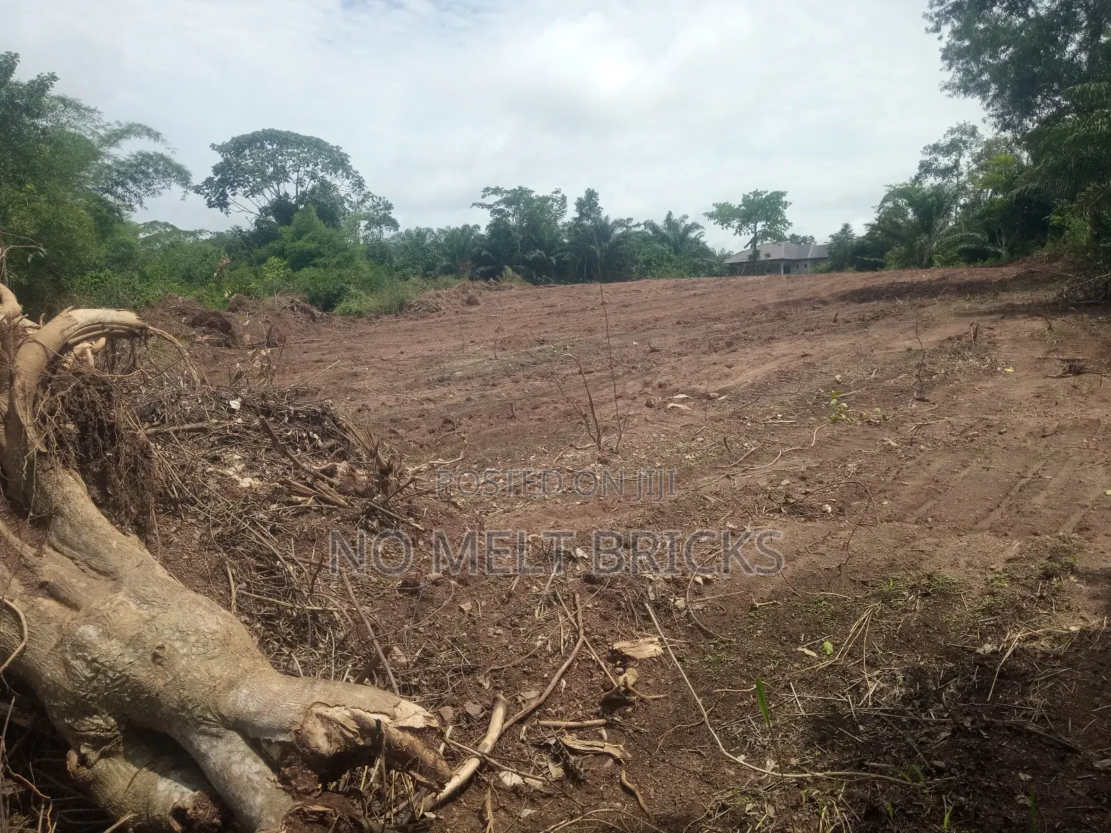 Land Surveyor
