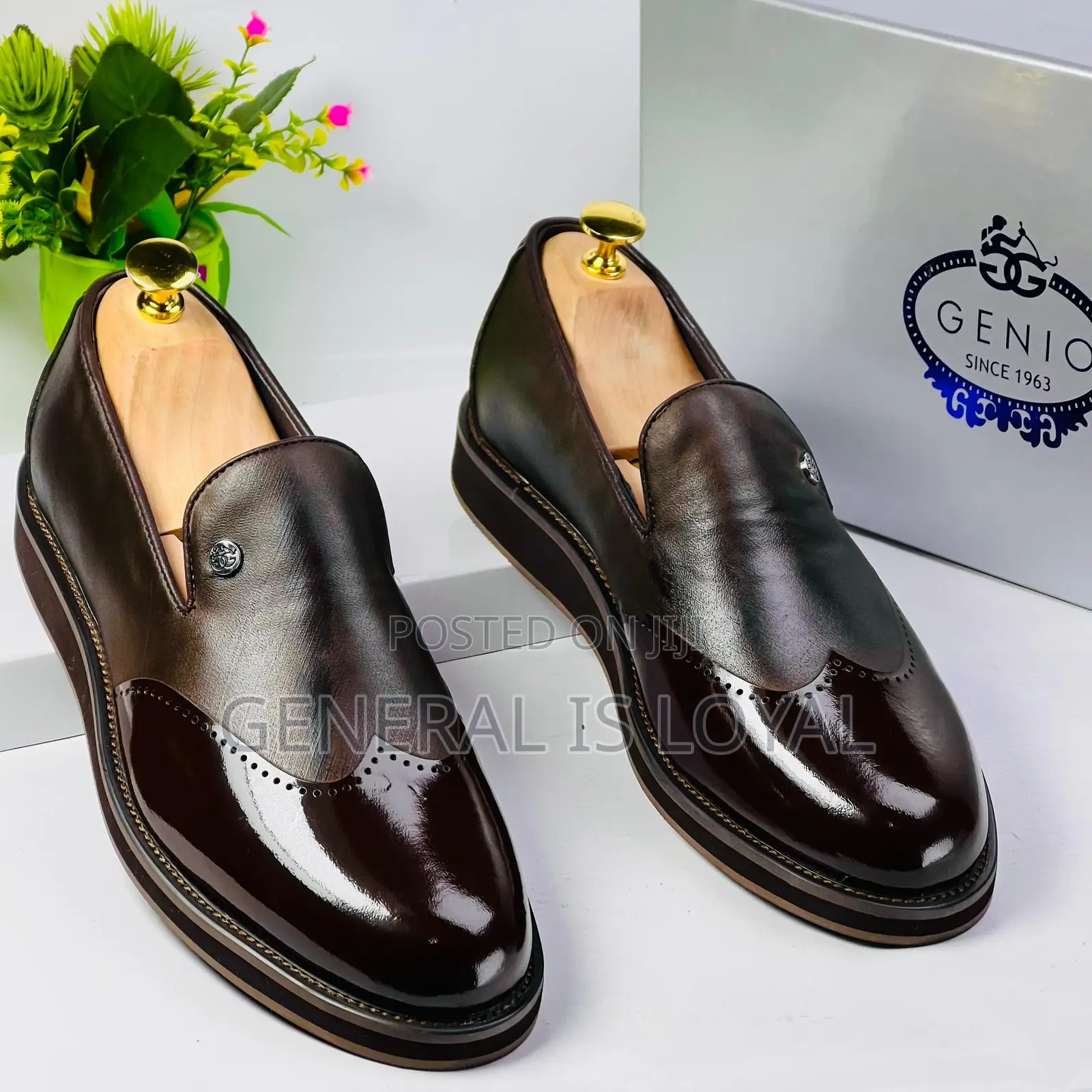 Genio Dark Coffee Shoe