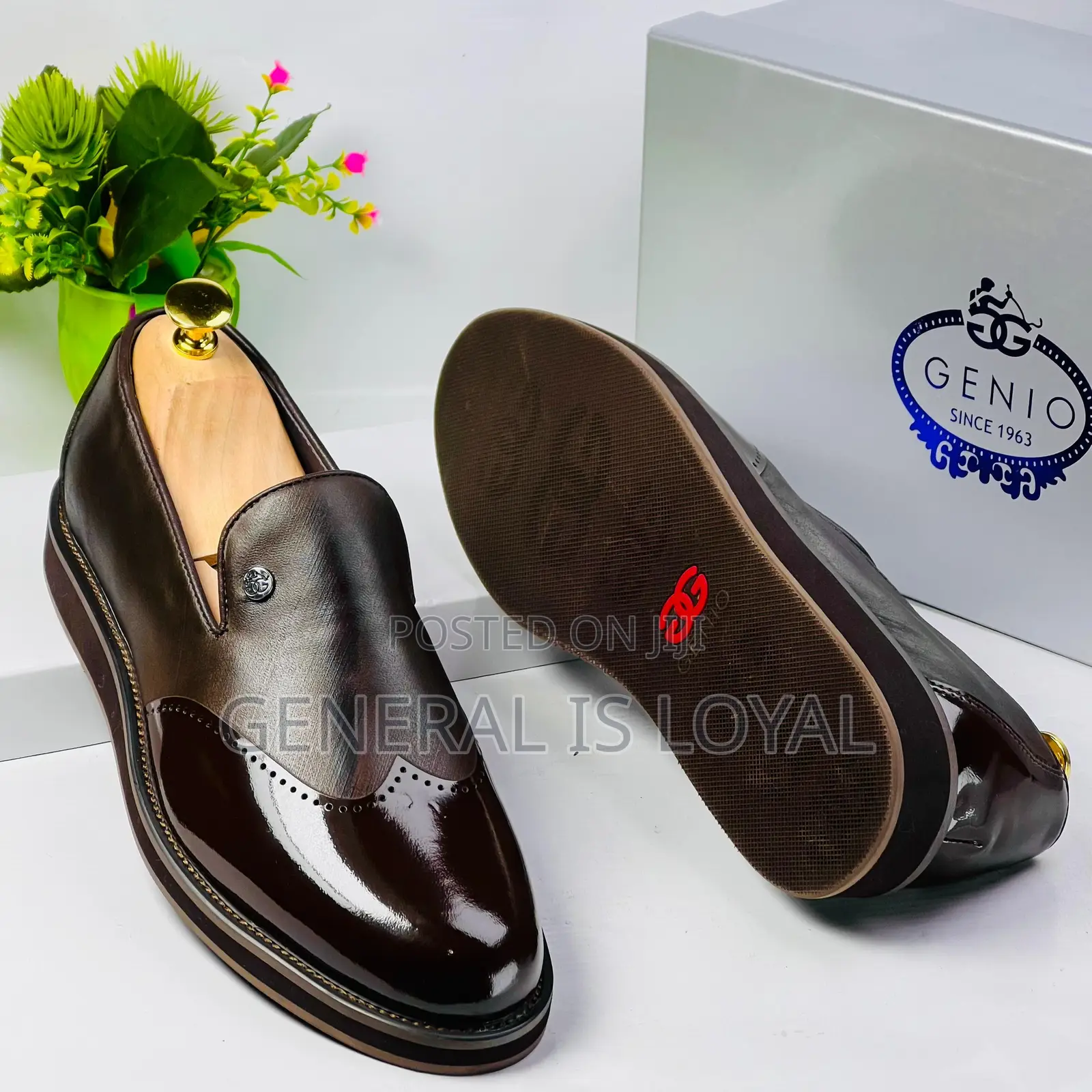 Genio Dark Coffee Shoe