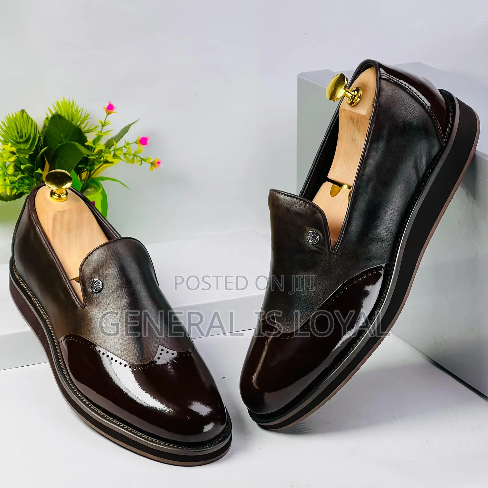 Genio Dark Coffee Shoe
