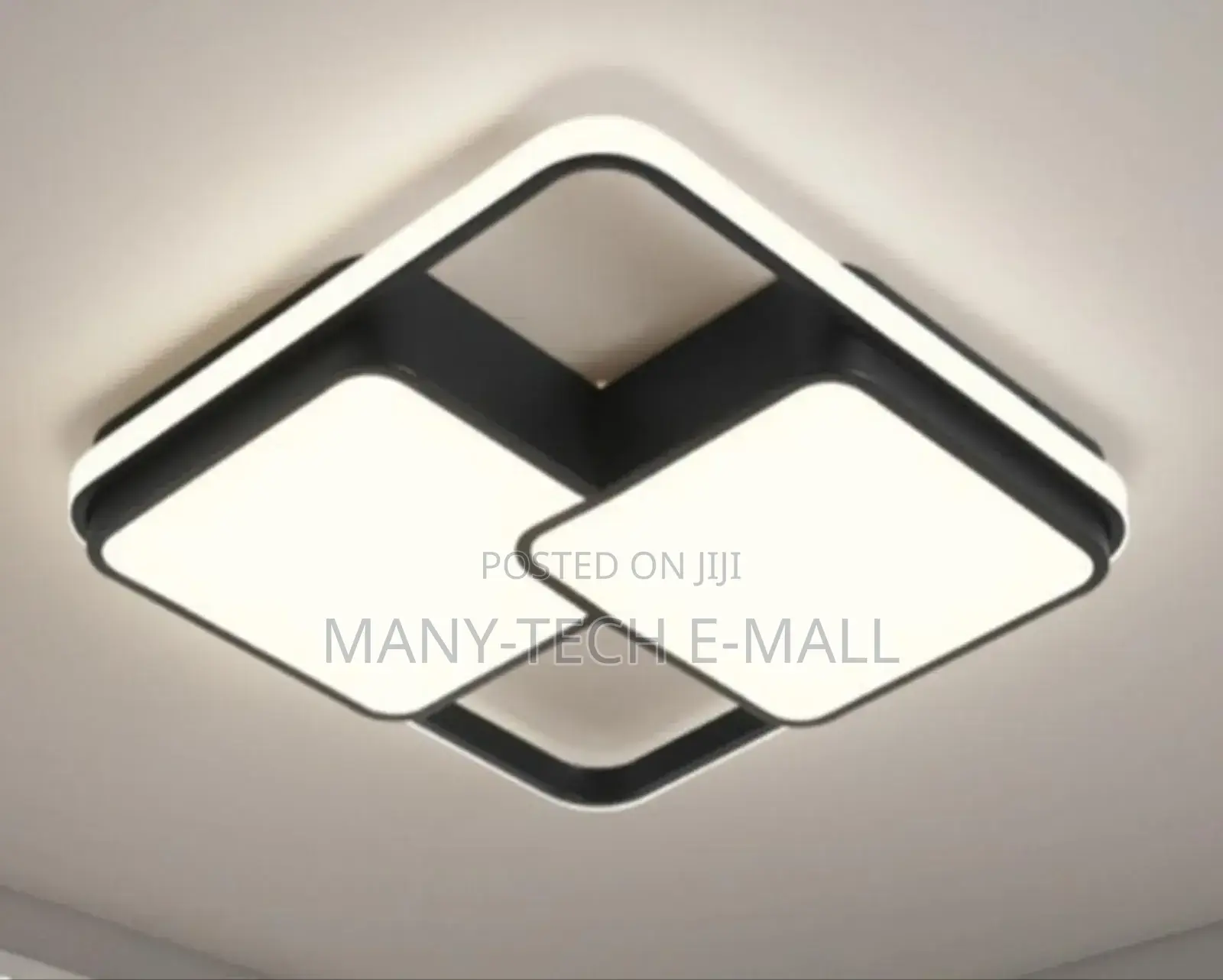 Decorative Ceiling Light