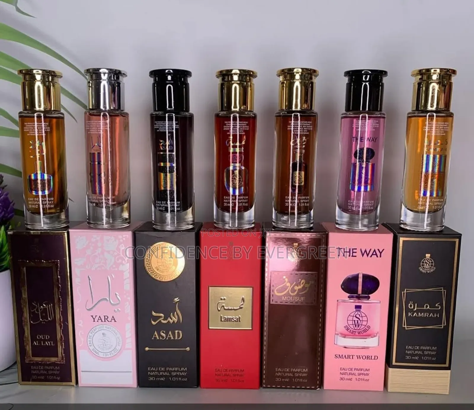Smart World Mini Perfumes