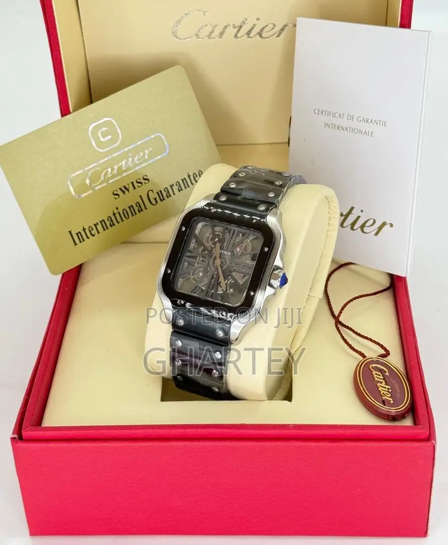 Skeleton Premium Santos De Cartier Mechanical Watch