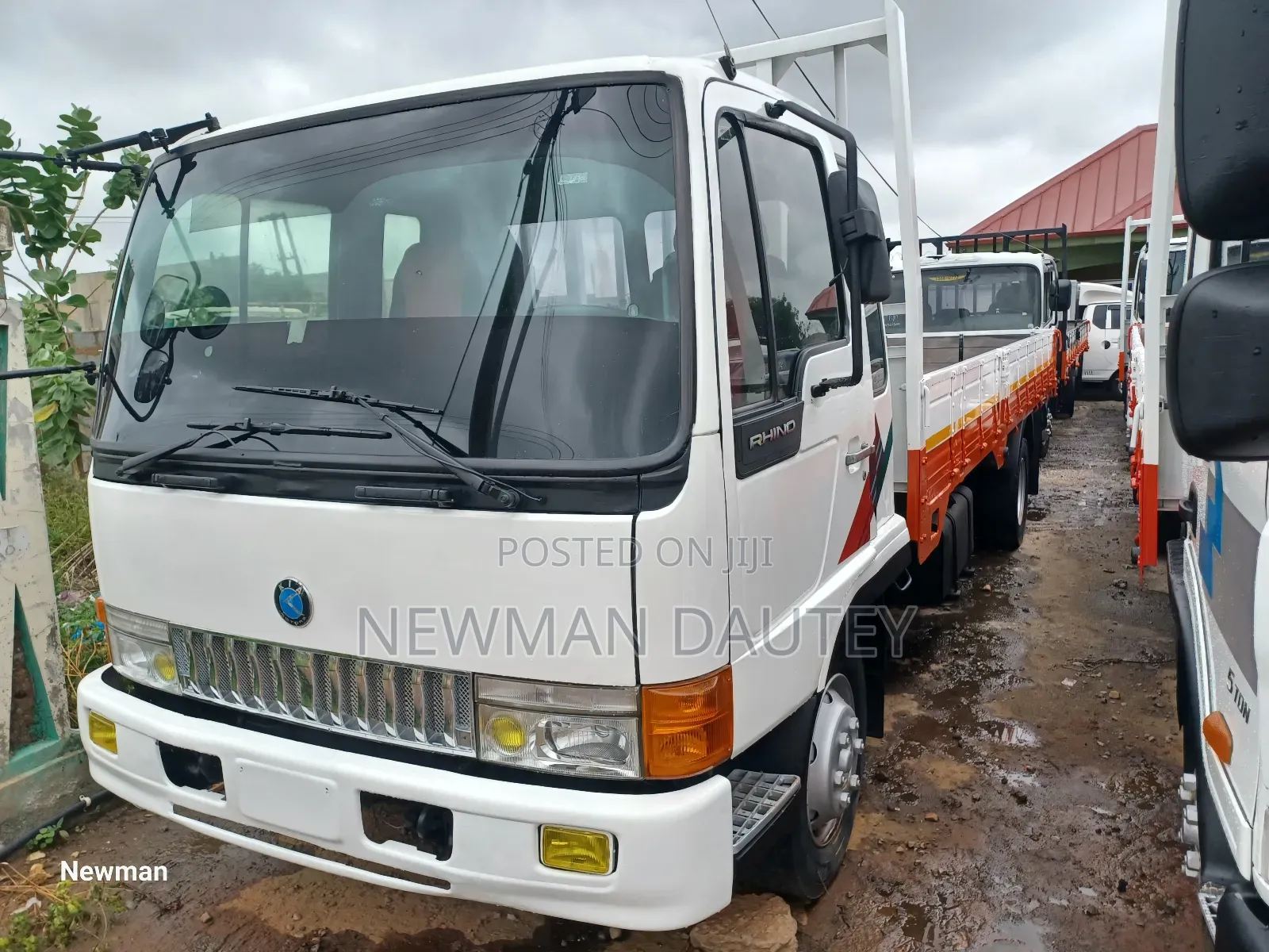 Rhino Kia White