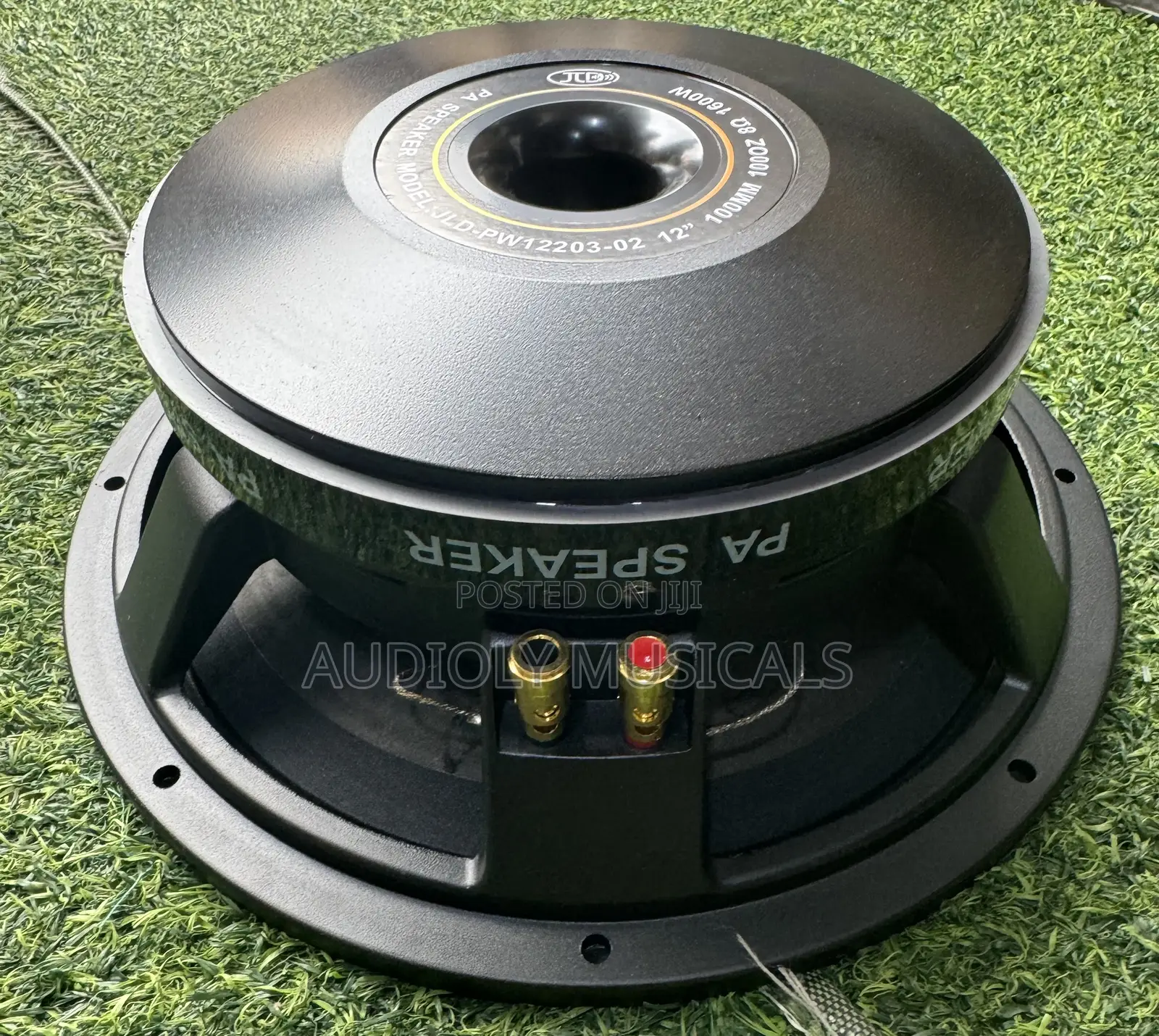 JLD 12 Inches Double Magnet 1600wtt